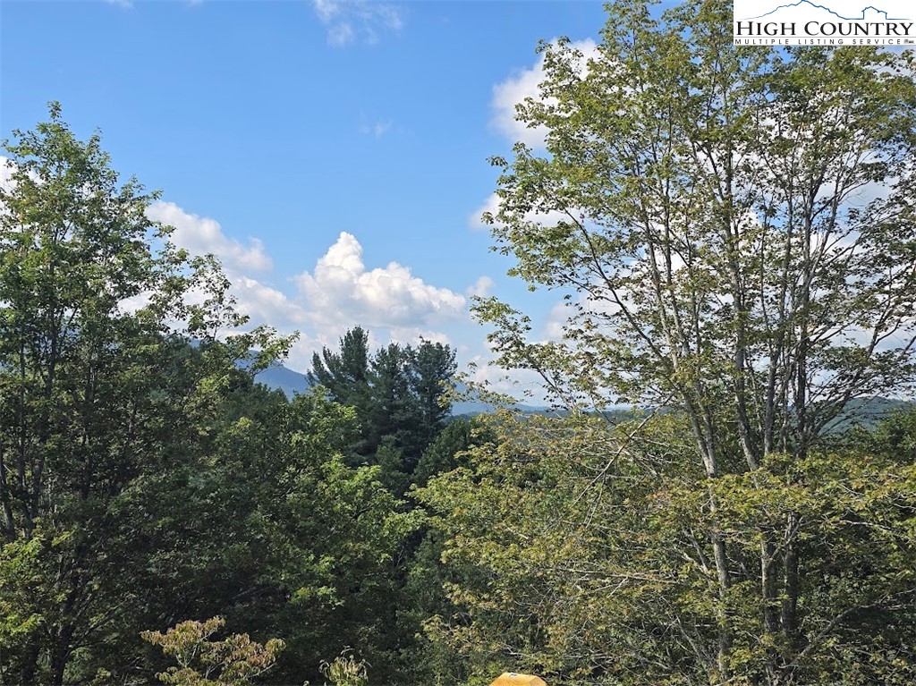 979 Wagon Road Warrensville, NC 28693 - Photo 50 of 50 a view of a flower in a garden