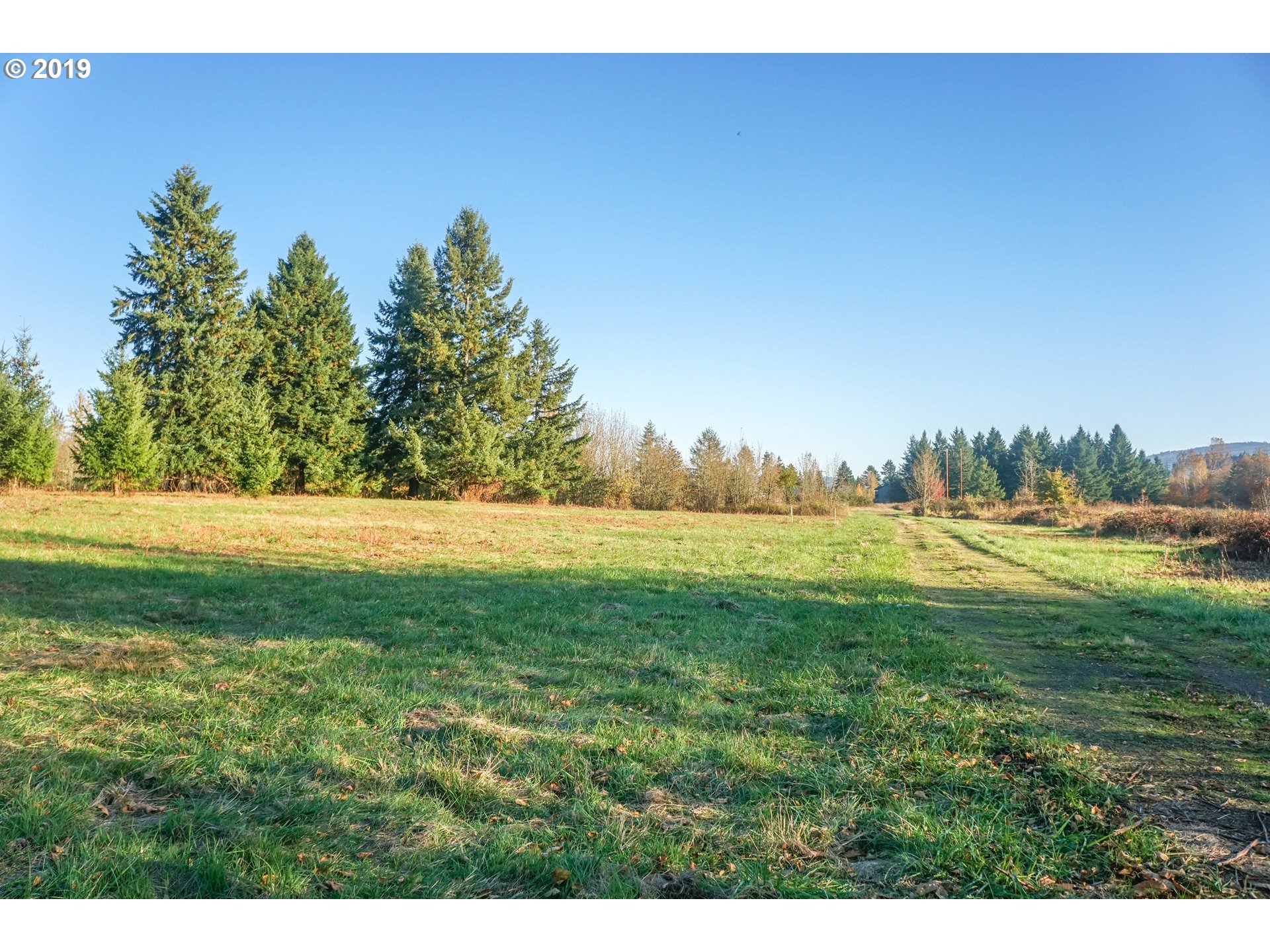 2925 Stoltz Hill Road, Unit 1 Lebanon, OR 97355 - Photo 1 of 16 Gallery Image 1
