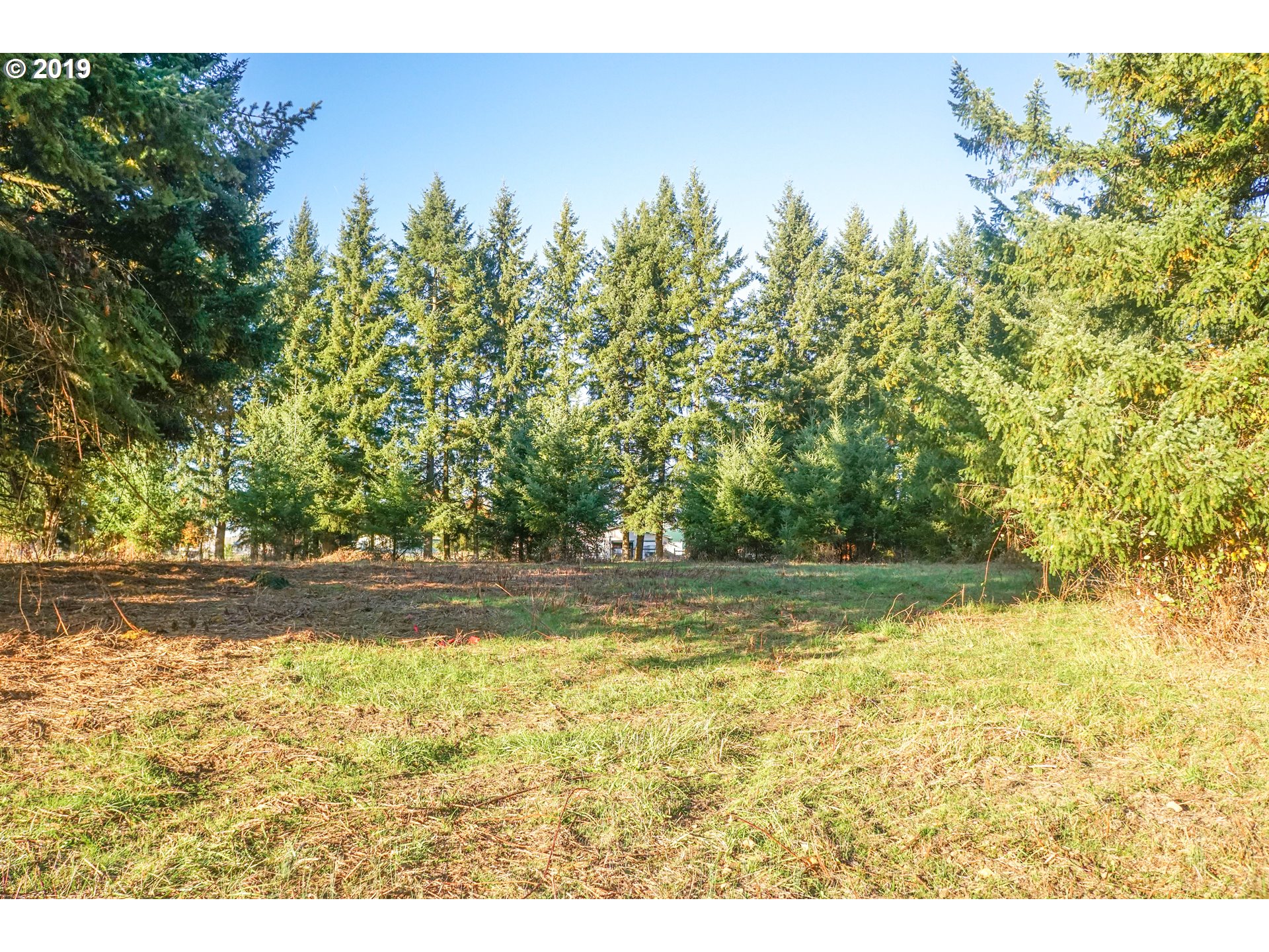 2925 Stoltz Hill Road, Unit 1 Lebanon, OR 97355 - Photo 11 of 16 Gallery Image 11