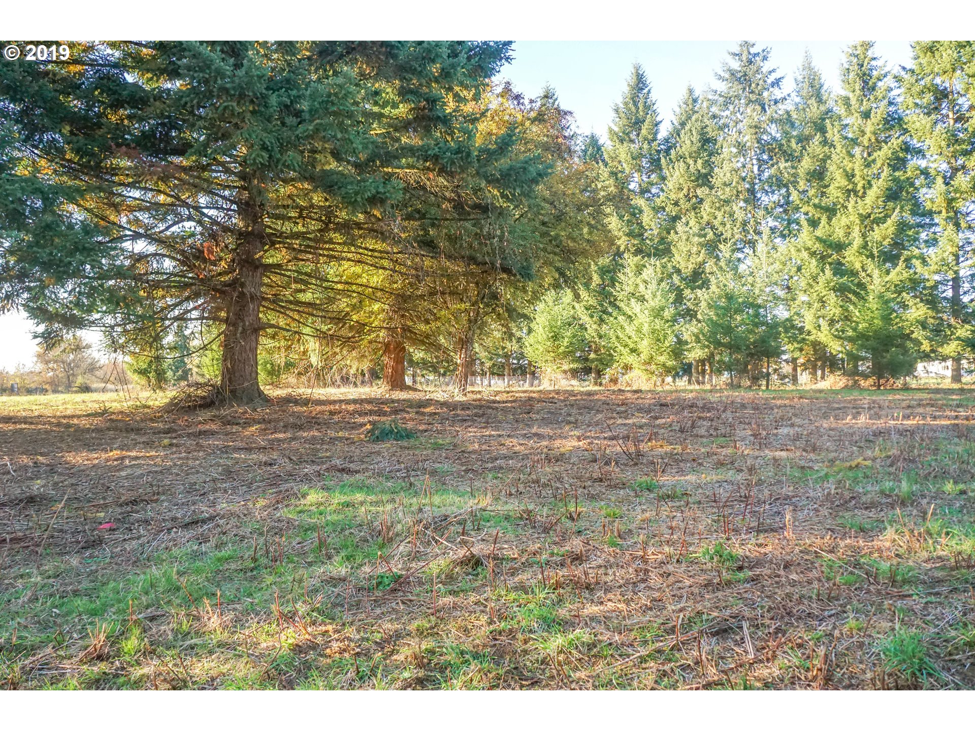 2925 Stoltz Hill Road, Unit 1 Lebanon, OR 97355 - Photo 12 of 16 Gallery Image 12