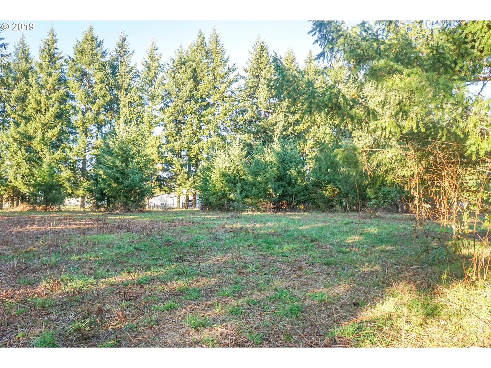 2925 Stoltz Hill Road, Unit 1 Lebanon, OR 97355 - Photo 13 of 16 Gallery Image 13