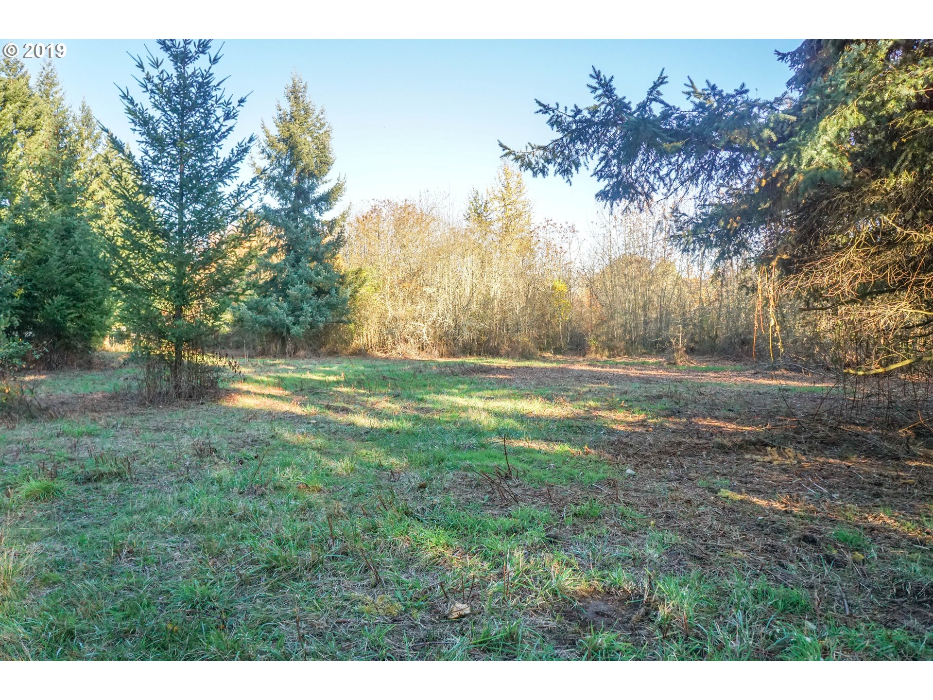 2925 Stoltz Hill Road, Unit 1 Lebanon, OR 97355 - Photo 14 of 16 Gallery Image 14