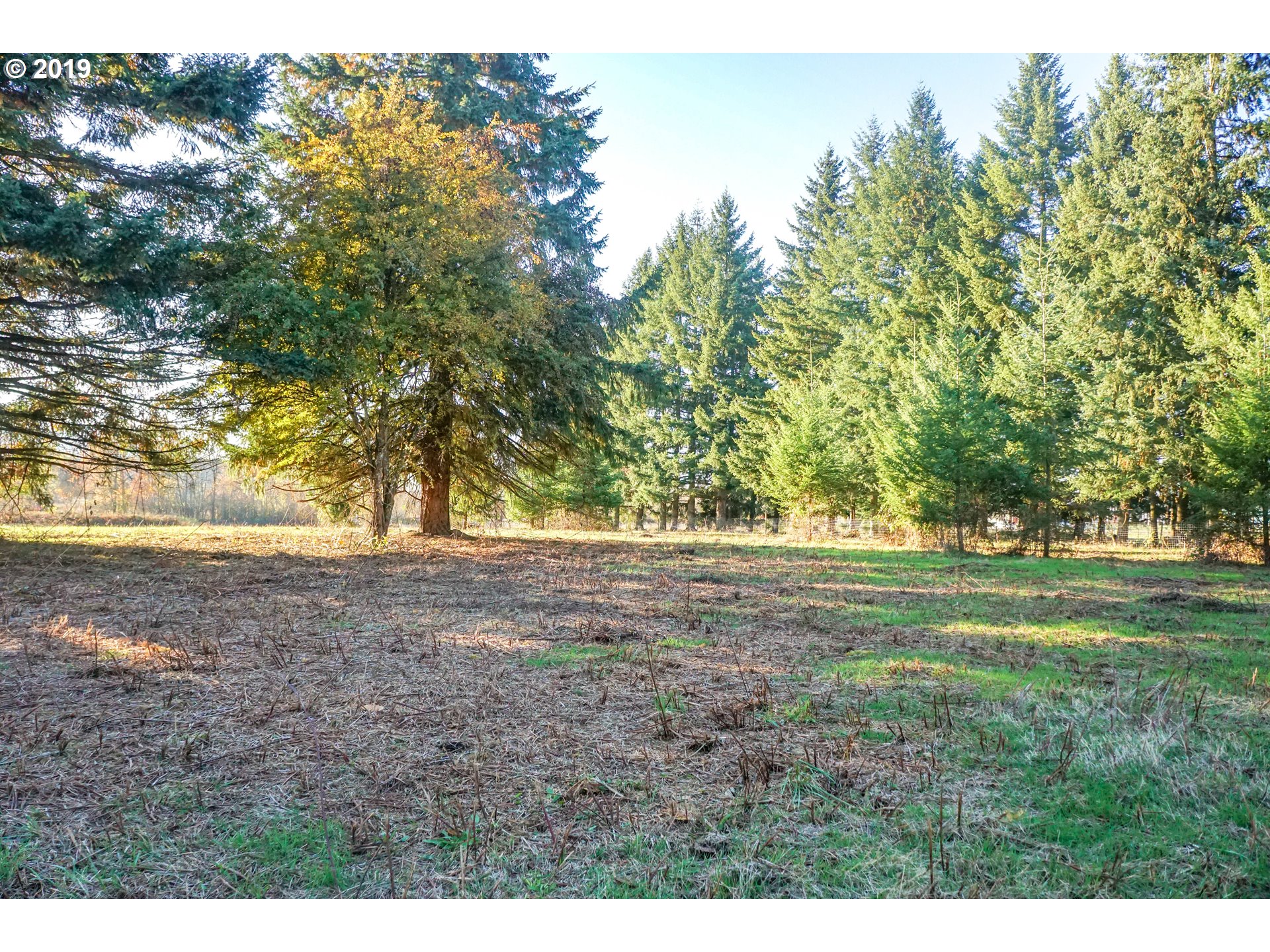 2925 Stoltz Hill Road, Unit 1 Lebanon, OR 97355 - Photo 15 of 16 Gallery Image 15