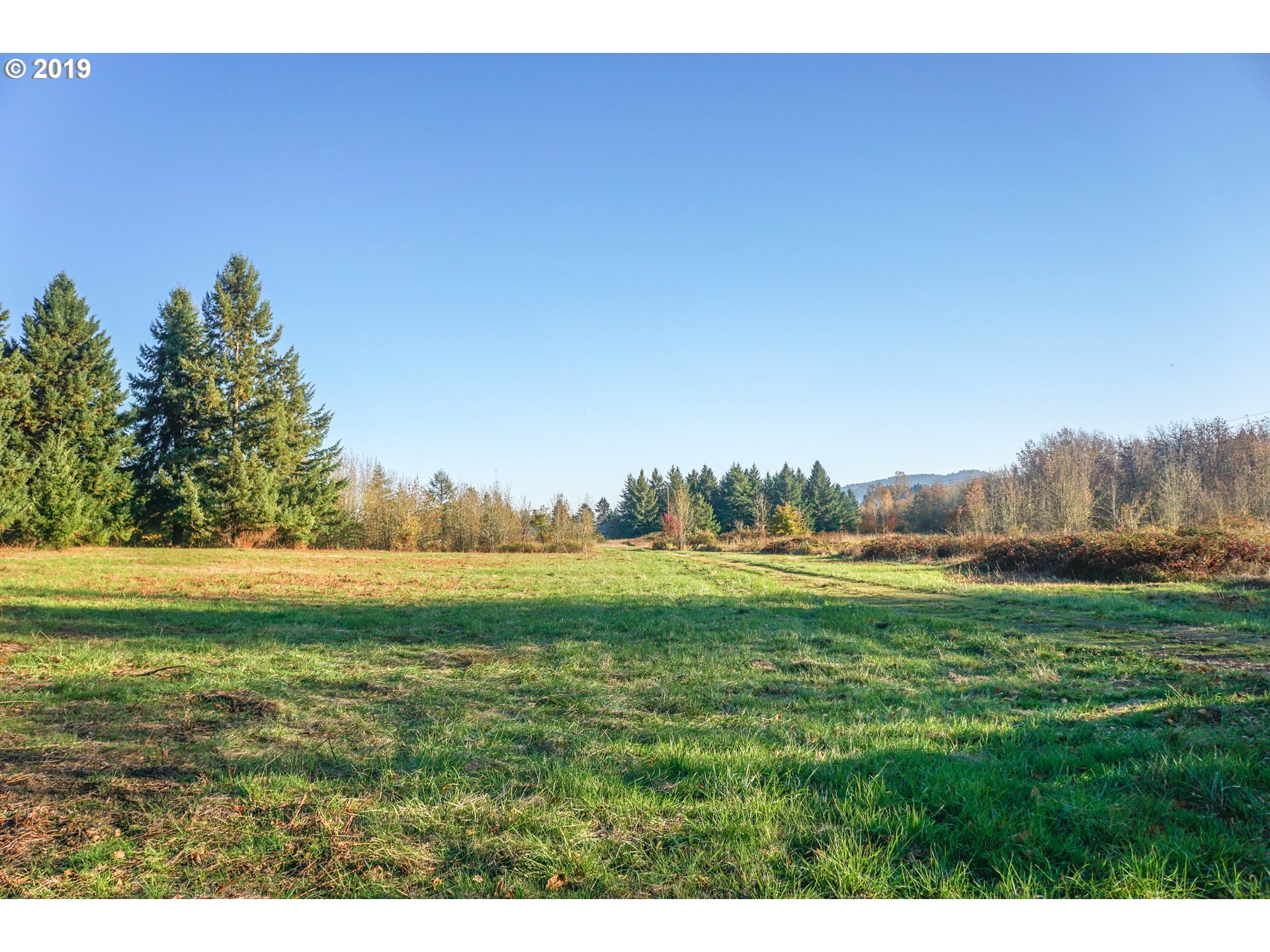 2925 Stoltz Hill Road, Unit 1 Lebanon, OR 97355 - Photo 4 of 16 Gallery Image 4