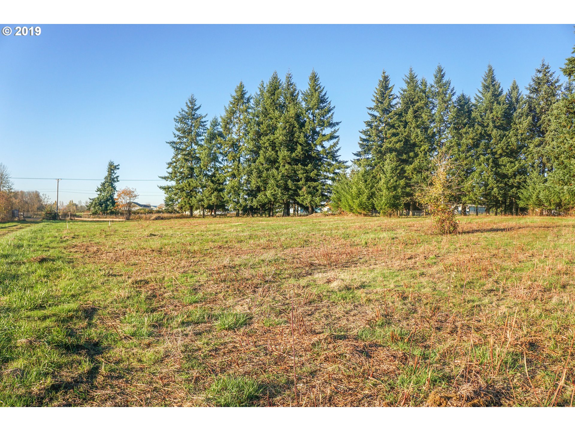 2925 Stoltz Hill Road, Unit 1 Lebanon, OR 97355 - Photo 5 of 16 Gallery Image 5