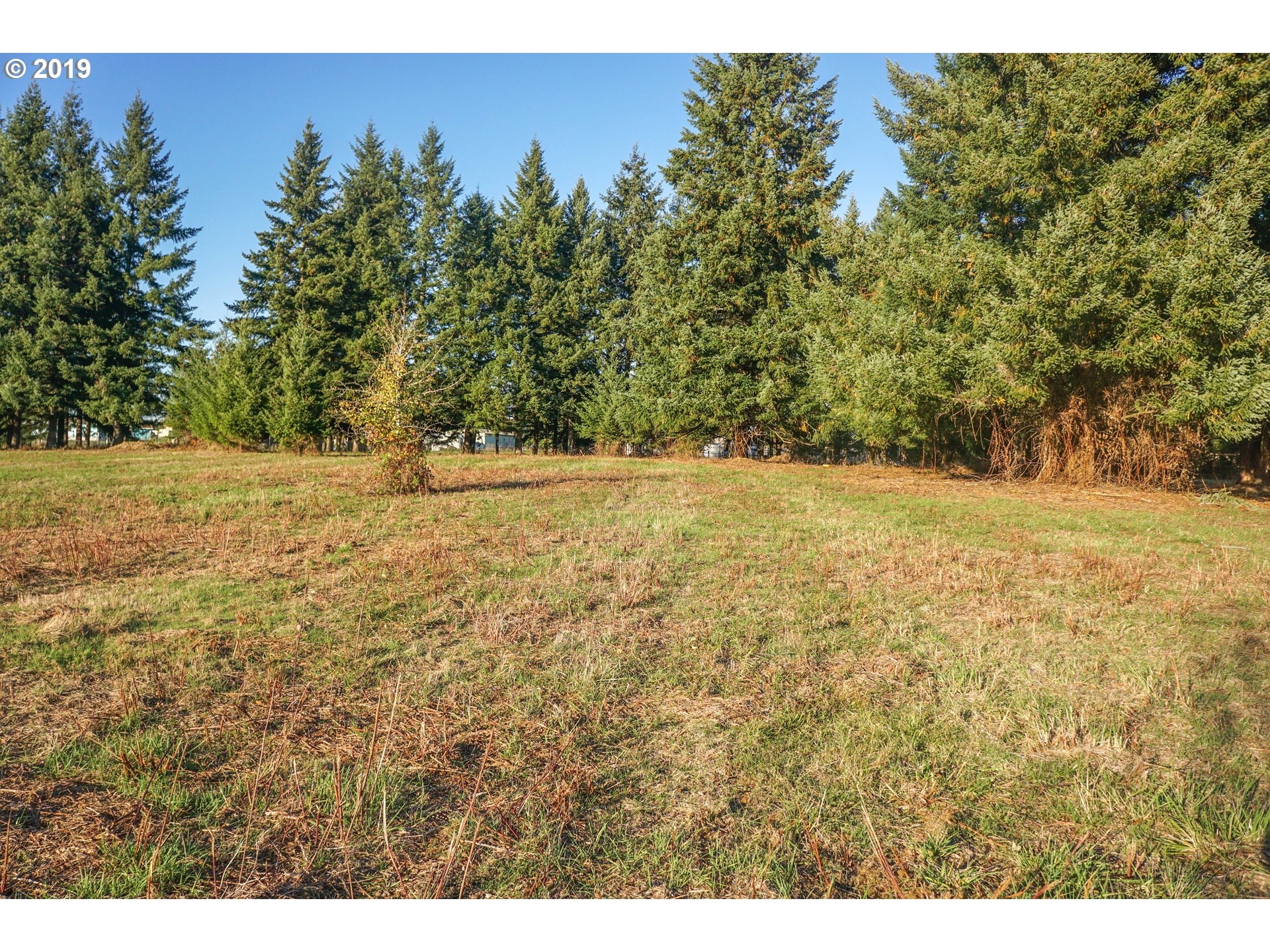2925 Stoltz Hill Road, Unit 1 Lebanon, OR 97355 - Photo 6 of 16 Gallery Image 6