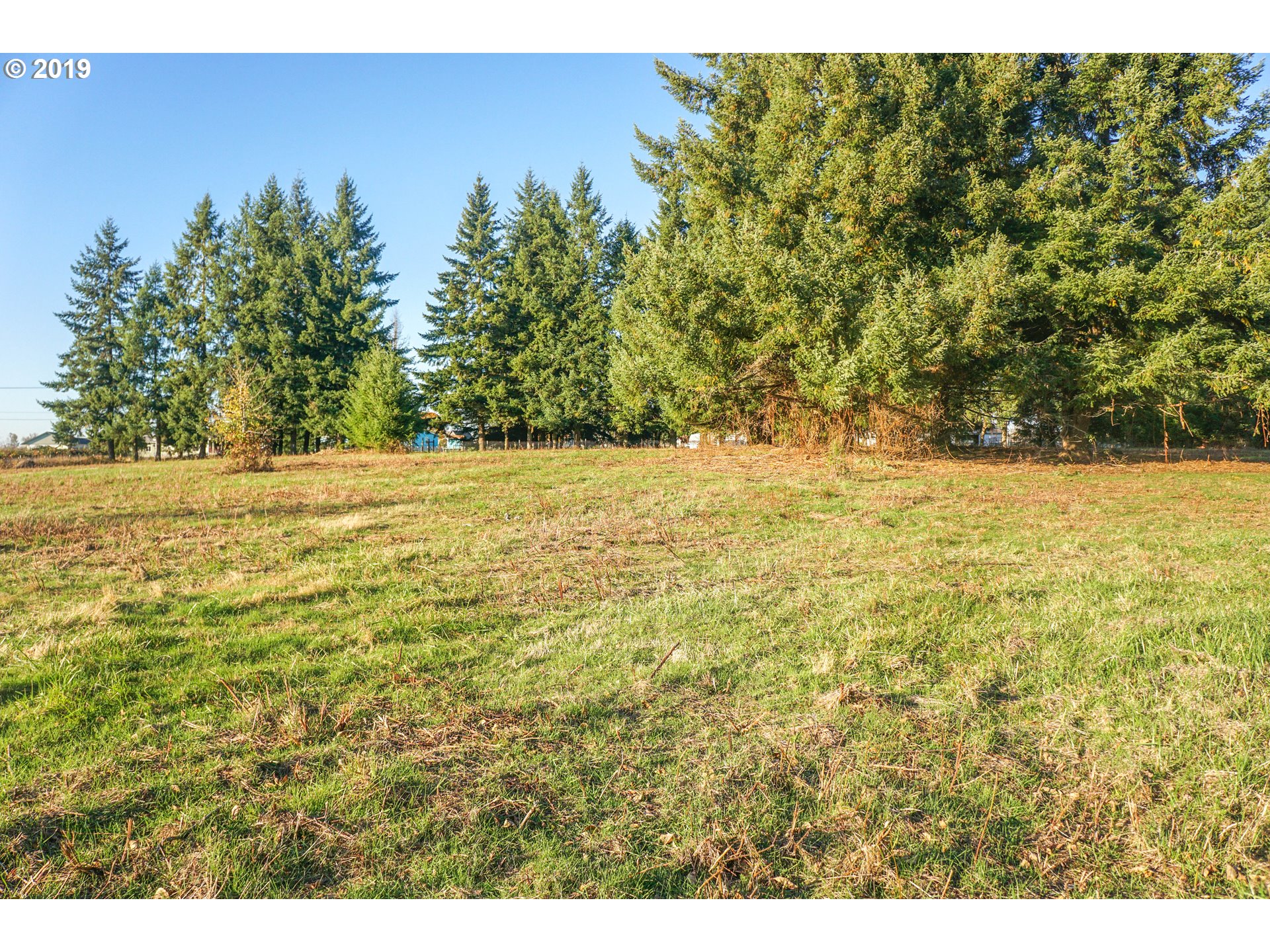 2925 Stoltz Hill Road, Unit 1 Lebanon, OR 97355 - Photo 7 of 16 Gallery Image 7