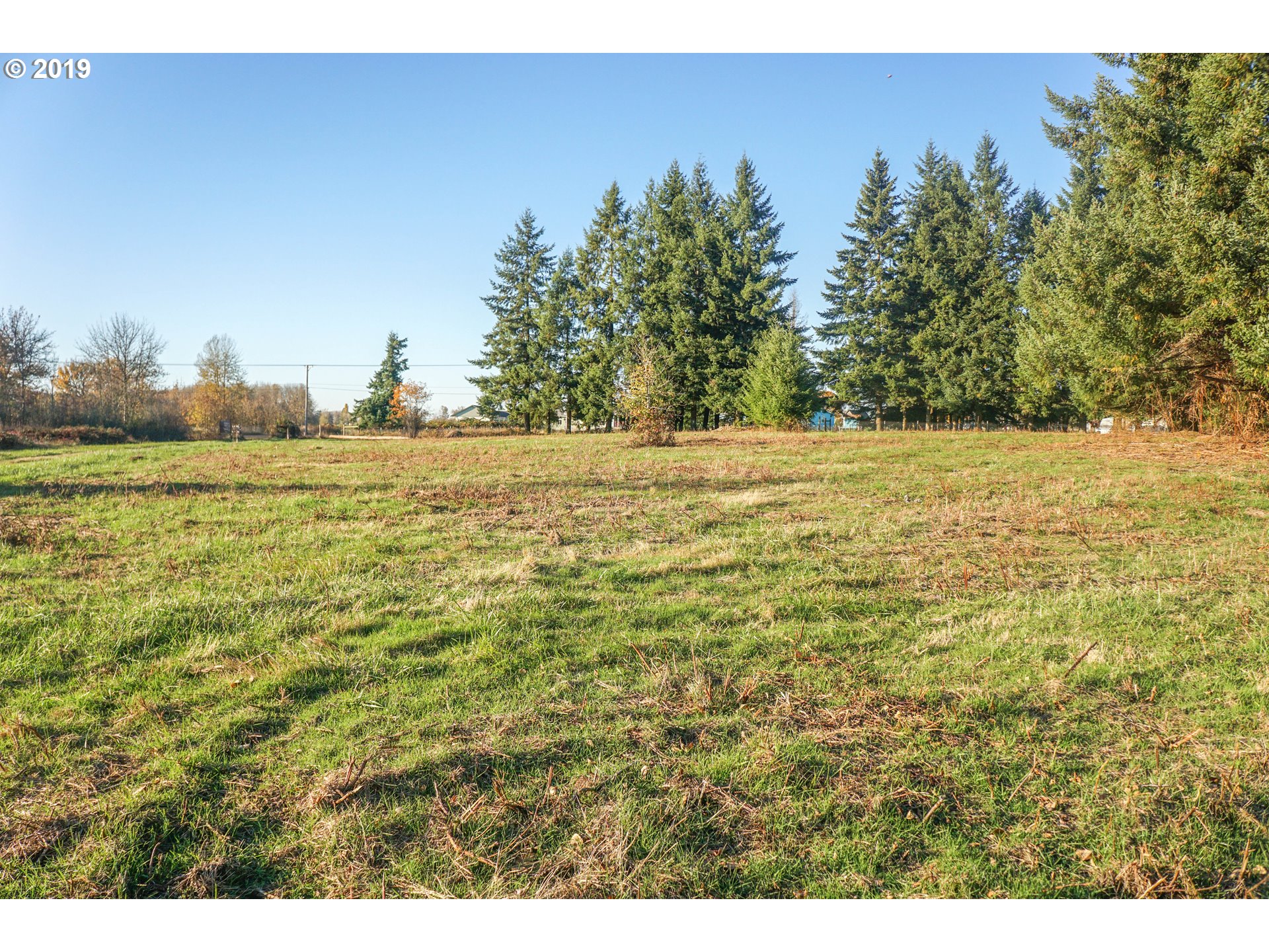 2925 Stoltz Hill Road, Unit 1 Lebanon, OR 97355 - Photo 8 of 16 Gallery Image 8