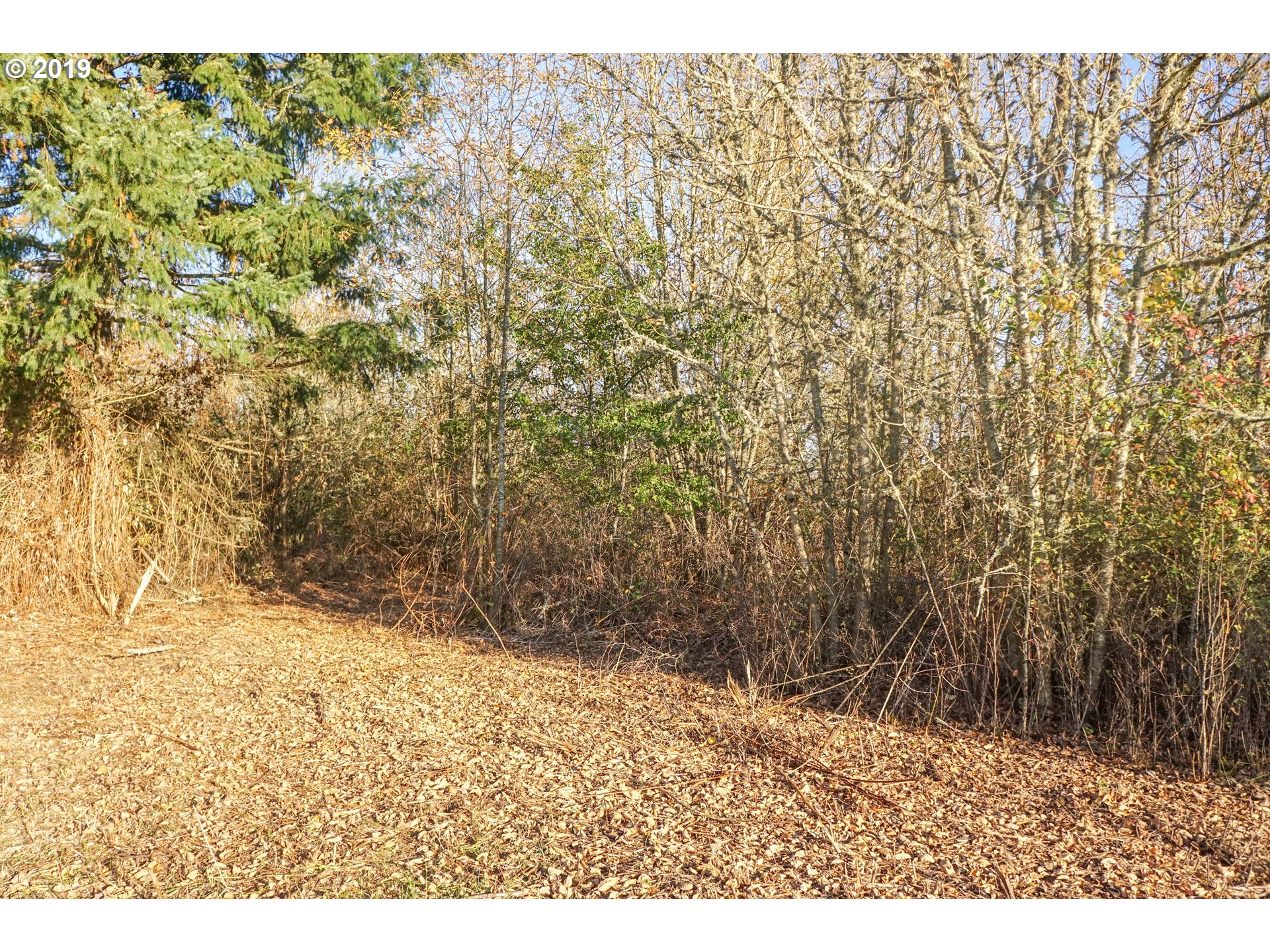2925 Stoltz Hill Road, Unit 1 Lebanon, OR 97355 - Photo 9 of 16 Gallery Image 9