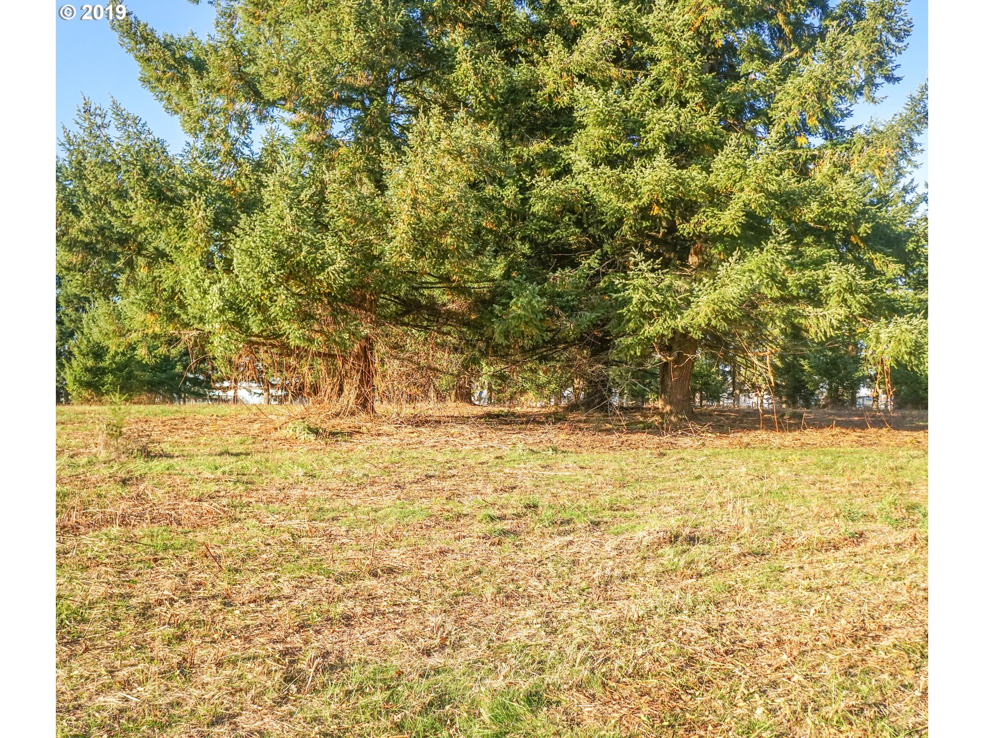 2925 Stoltz Hill Road, Unit 1 Lebanon, OR 97355 - Photo 10 of 16 Gallery Image 10