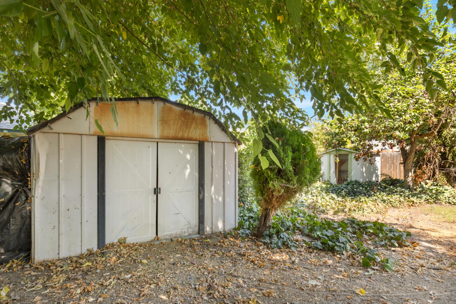 2910 4th Street Biggs, CA 95917 - Photo 19 of 31