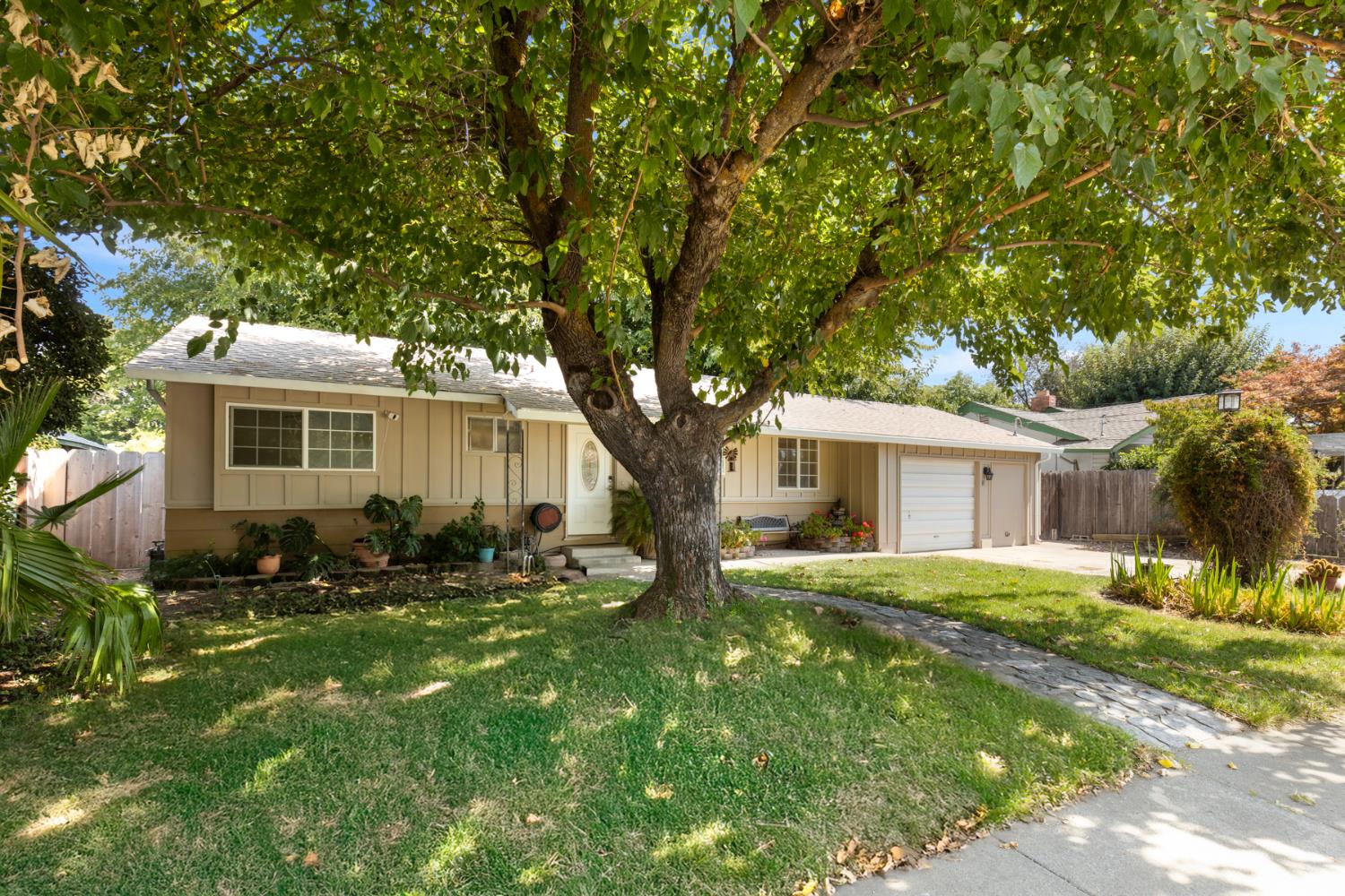 2910 4th Street Biggs, CA 95917 - Photo 21 of 31