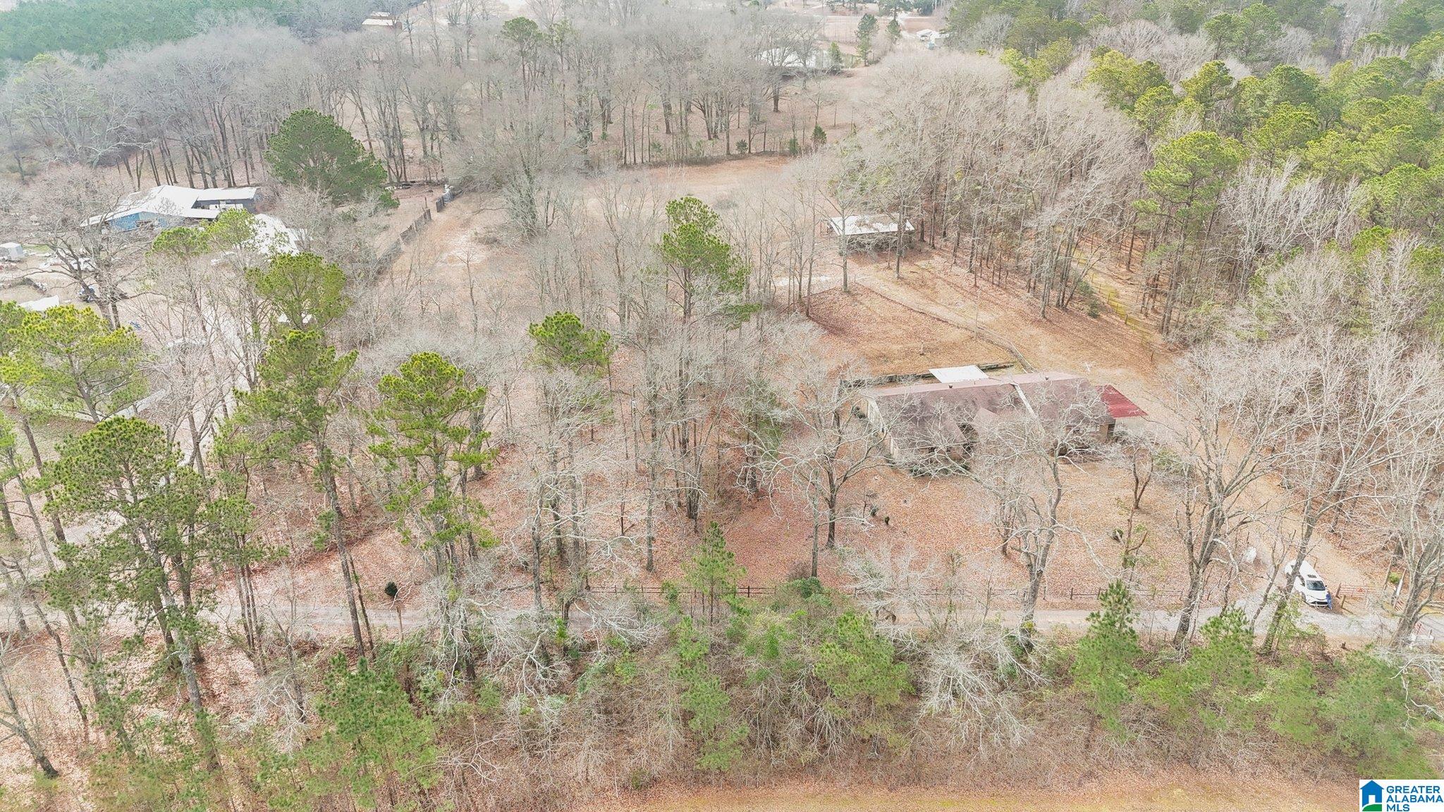 3926 County Road 37 Clanton, AL 35045 - Photo 13 of 42