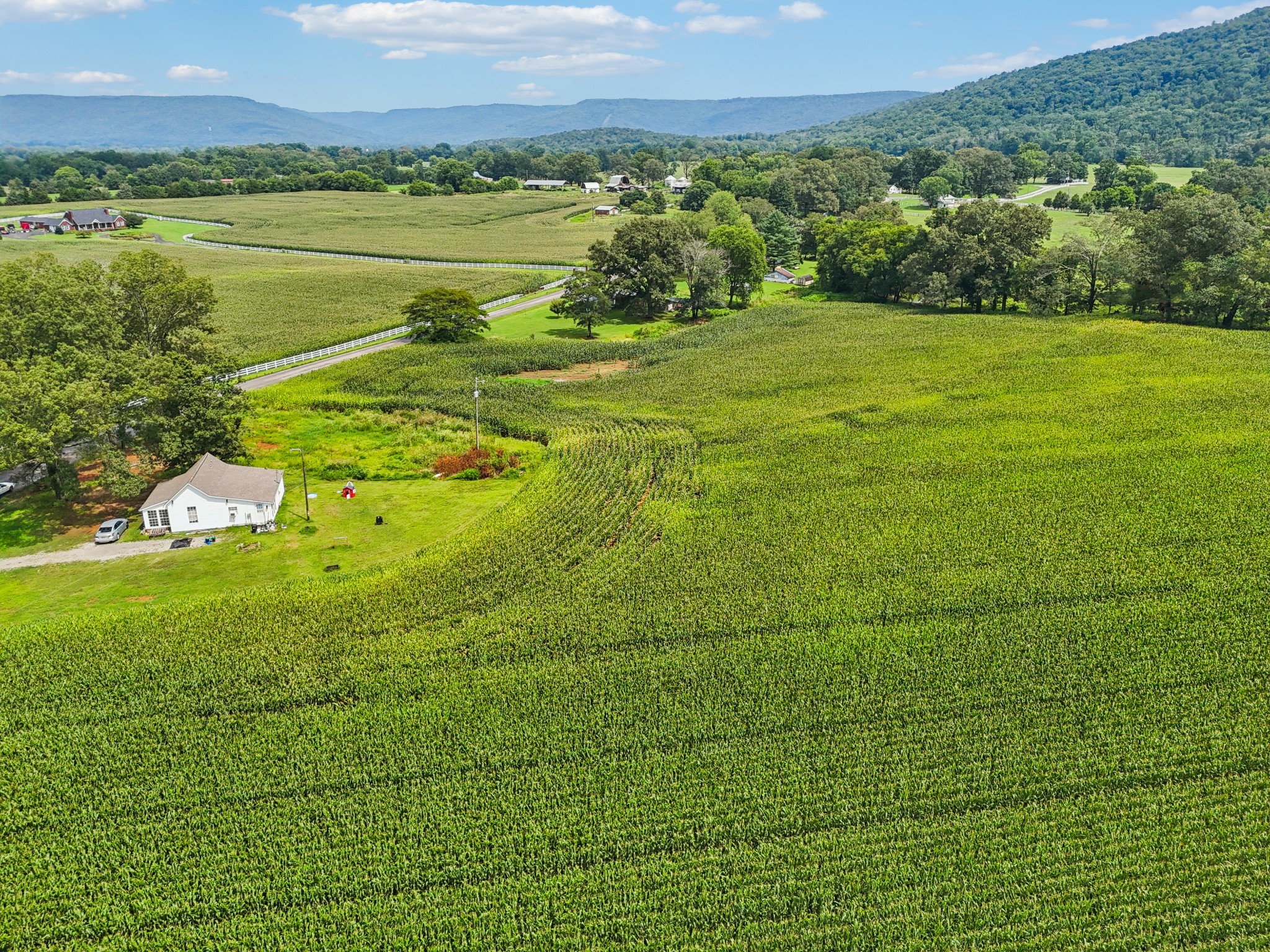 0 Providence Road Pelham, TN 37366 - Photo 2 of 2 a view of an outdoor space and a yard
