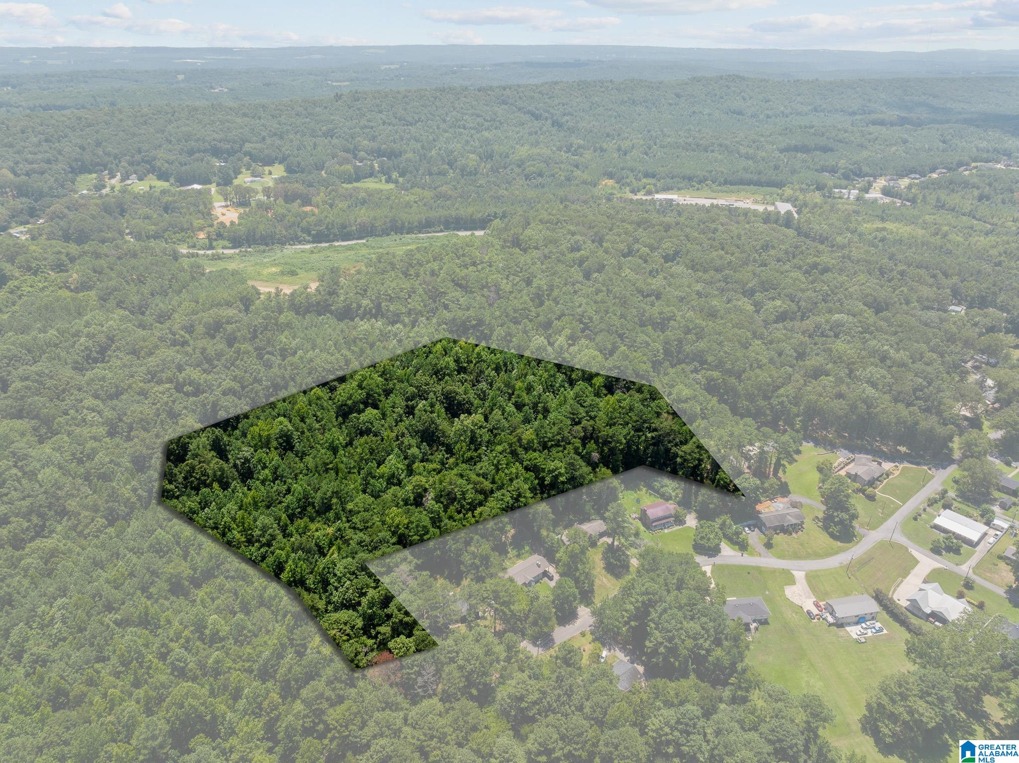 0 Sunshine Avenue Oneonta, AL 35121 - Photo 19 of 21