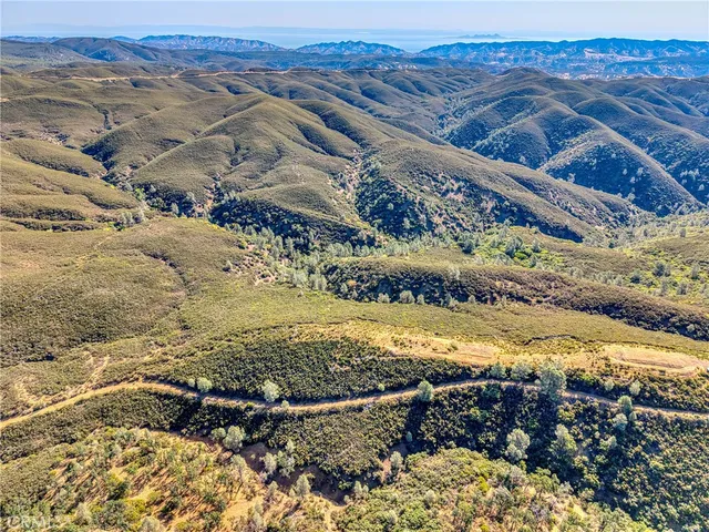 a view of a large tree