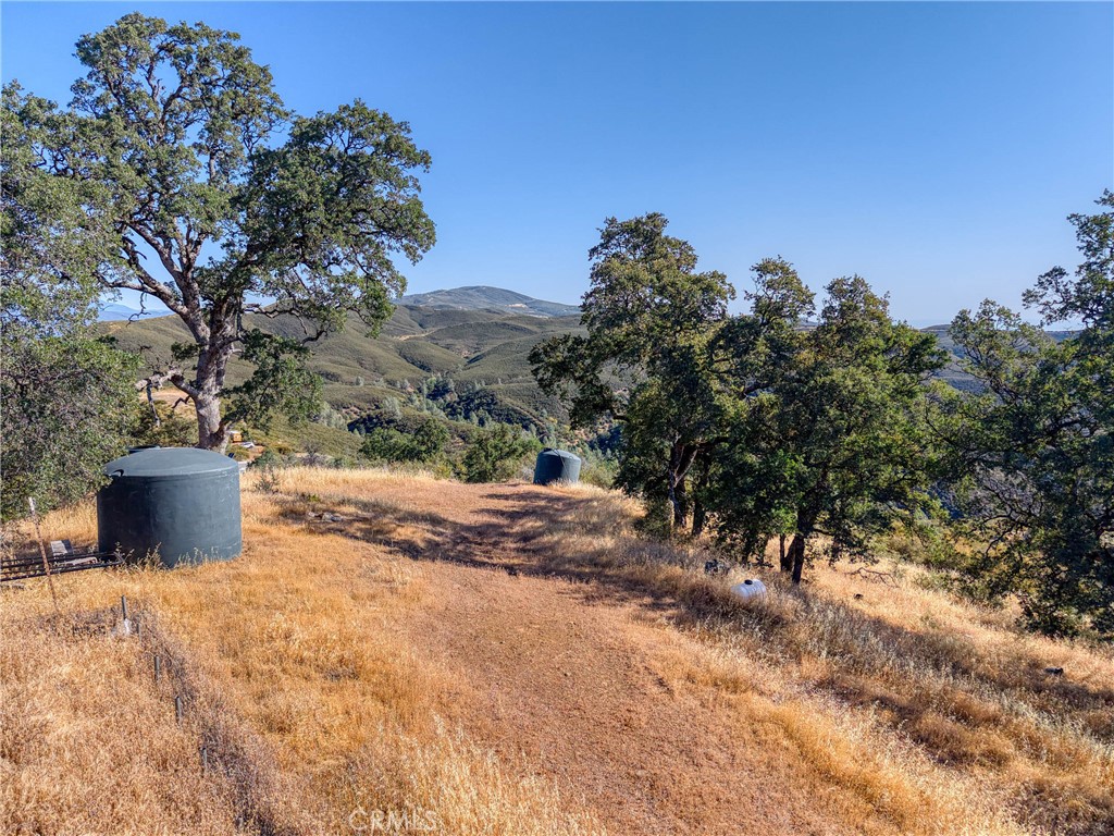 1034 Round Ball Road Clearlake Oaks, CA 95423 - Photo 3 of 46 a view of a yard with a tree