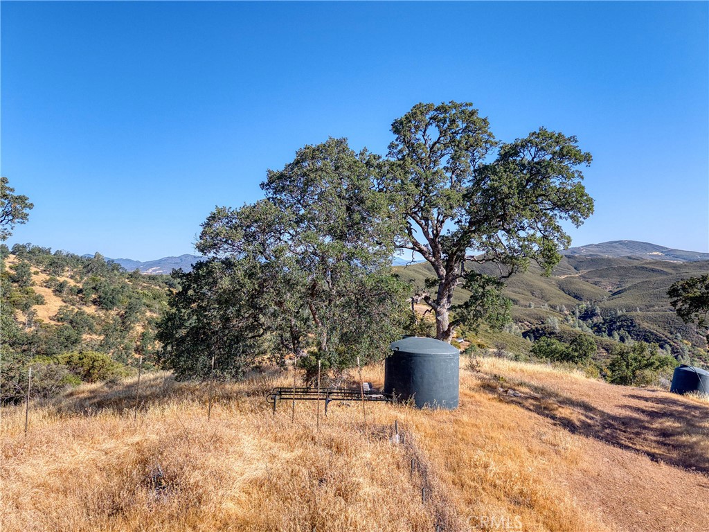 1034 Round Ball Road Clearlake Oaks, CA 95423 - Photo 4 of 46 a view of a outdoor space with a tree