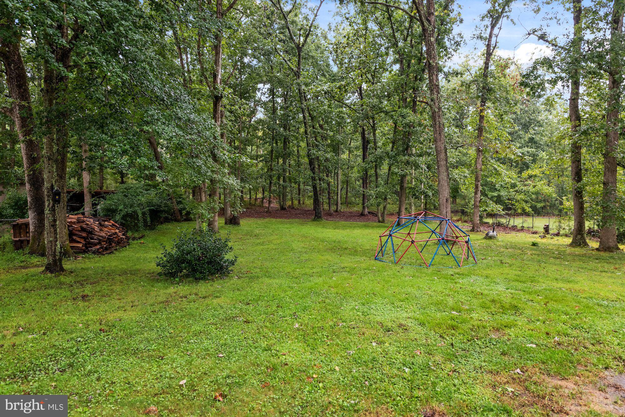 11 Goosepond Road Tabernacle, NJ 08088 - Photo 23 of 28 Rear yard