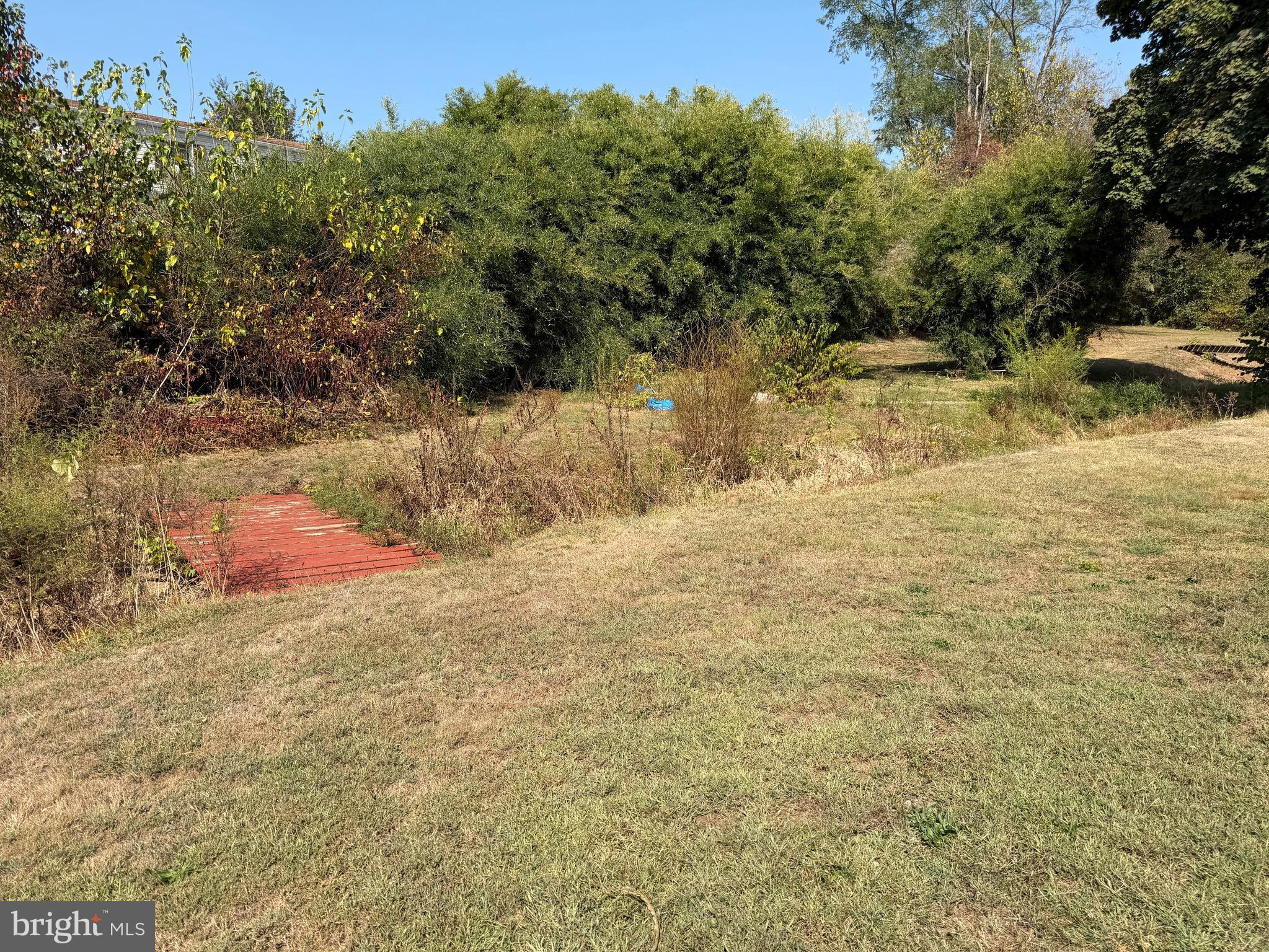 34 West Hanover Street Gettysburg, PA 17325 - Photo 8 of 30 a view of a yard with a tree