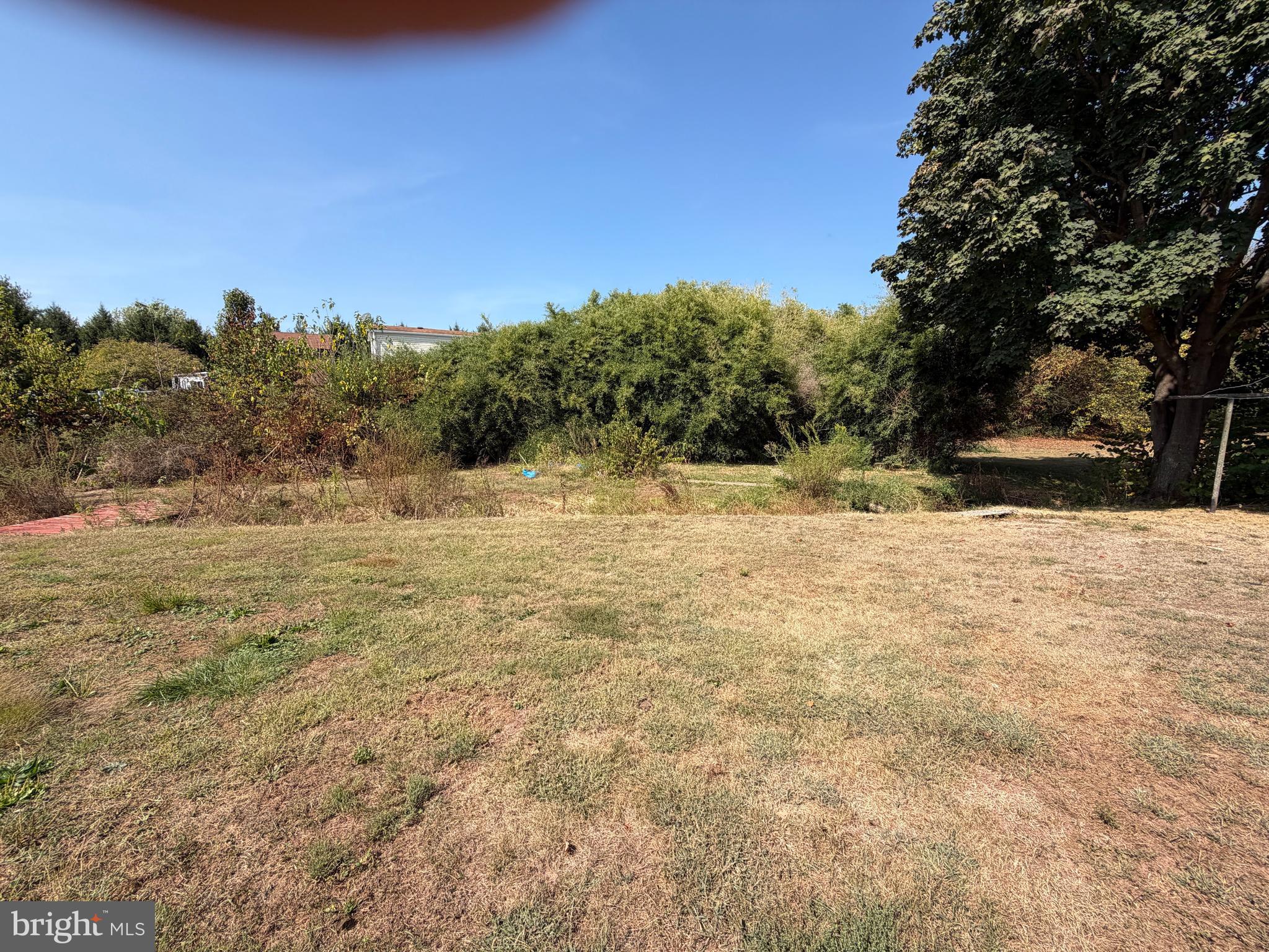 34 West Hanover Street Gettysburg, PA 17325 - Photo 9 of 30 a view of large yard with trees