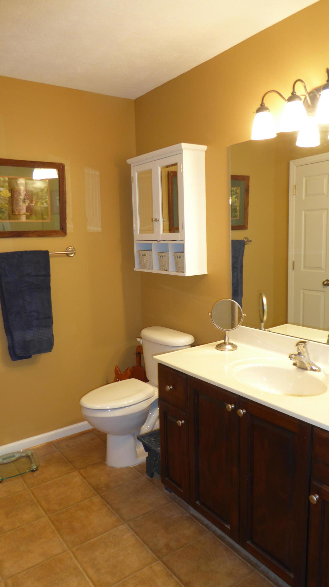 38 Bernard Road Rocky Mount, VA 24151 - Photo 25 of 33 25 Master Bath