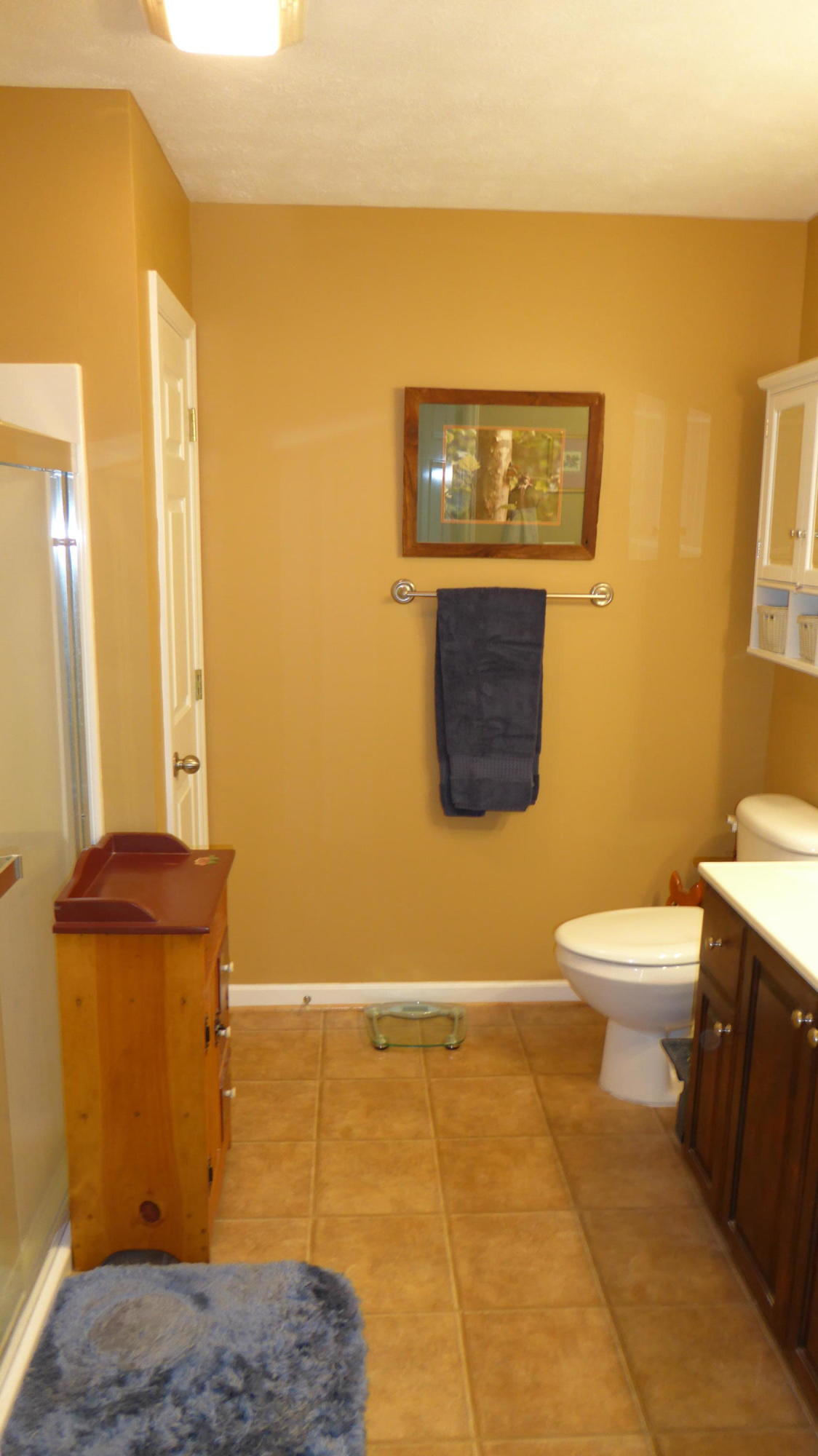 38 Bernard Road Rocky Mount, VA 24151 - Photo 26 of 33 26 Master Bath