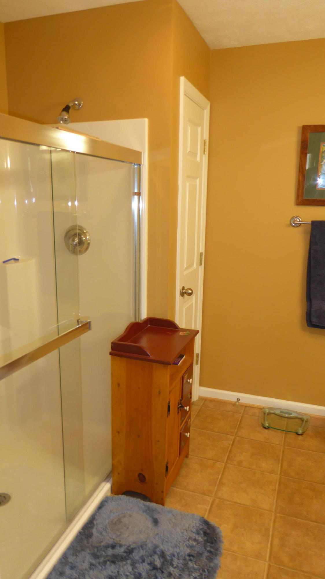 38 Bernard Road Rocky Mount, VA 24151 - Photo 7 of 33 7 Master Bath