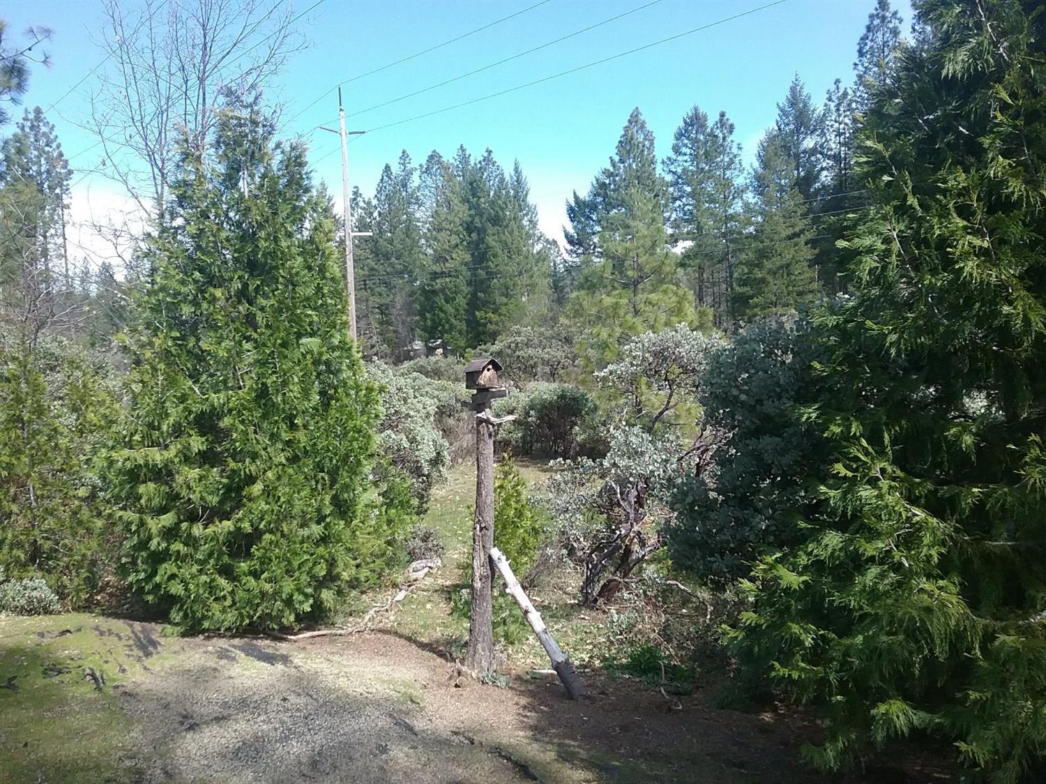 851 North Old Stage Road Cave Junction, OR 97523 - Photo 24 of 27 Additional Photo