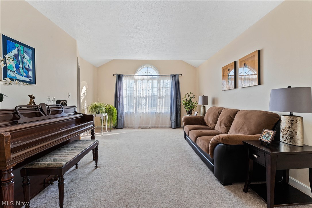 4678 Tippecanoe Road Canfield, OH 44406 - Photo 6 of 22 Gallery Image 6