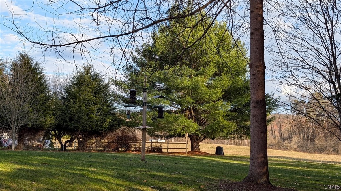 228 County Road Earlville, NY 13332 - Photo 4 of 33