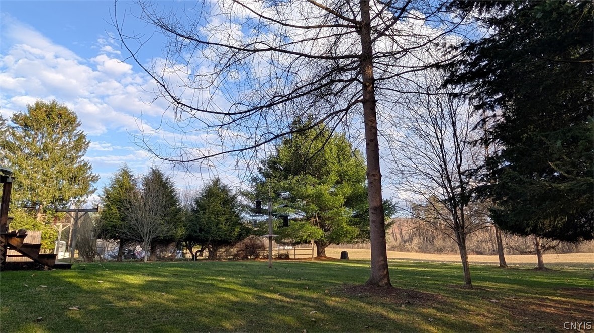 228 County Road Earlville, NY 13332 - Photo 8 of 33