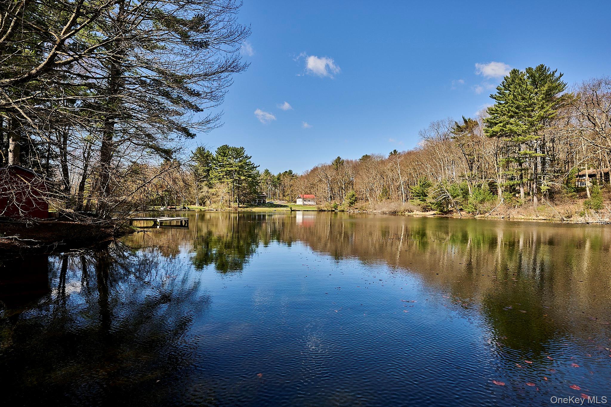 39 Pitio Road Glen Spey, NY 12737 - Photo 7 of 50 a view of lake