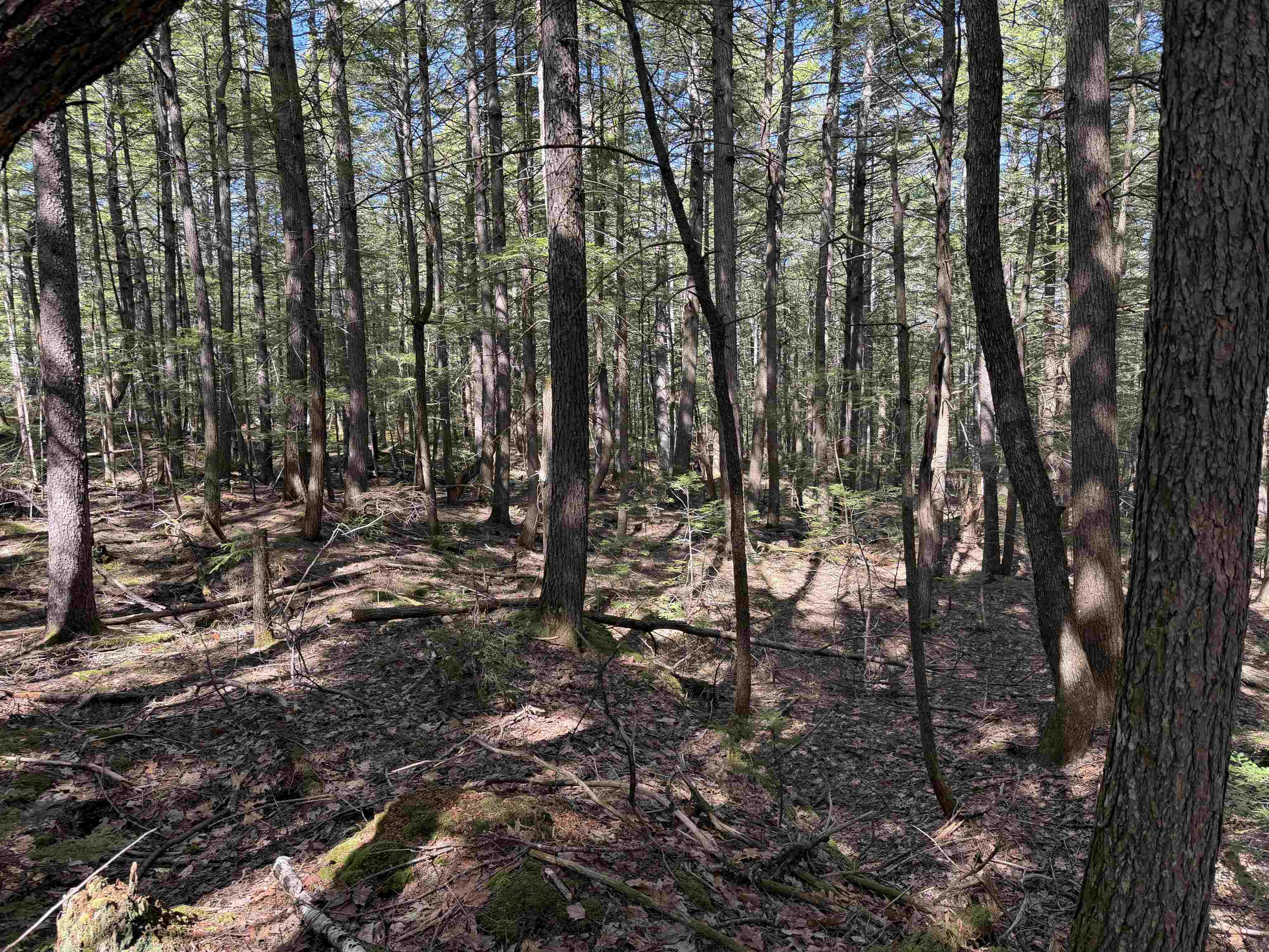 R29-l9 Roxbury Road, Unit LOT 9 Meredith, NH 03253 - Photo 28 of 36