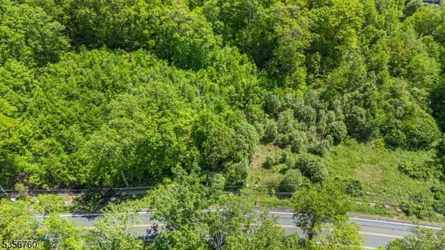 a view of a lush green forest