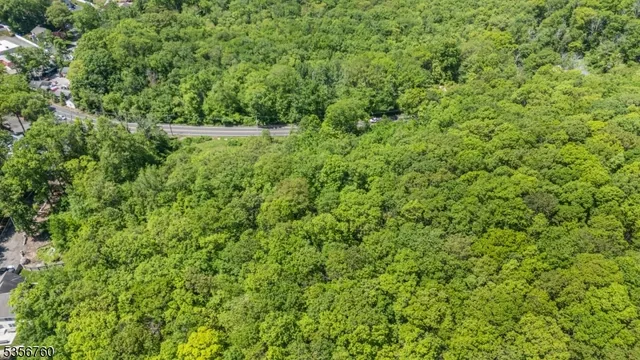 a view of a lush green field