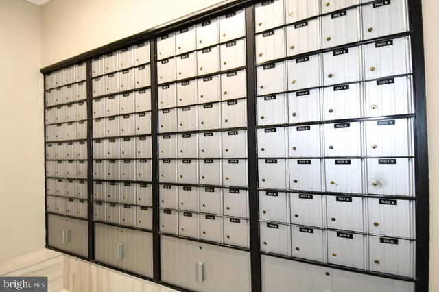 a outdoor space with trees