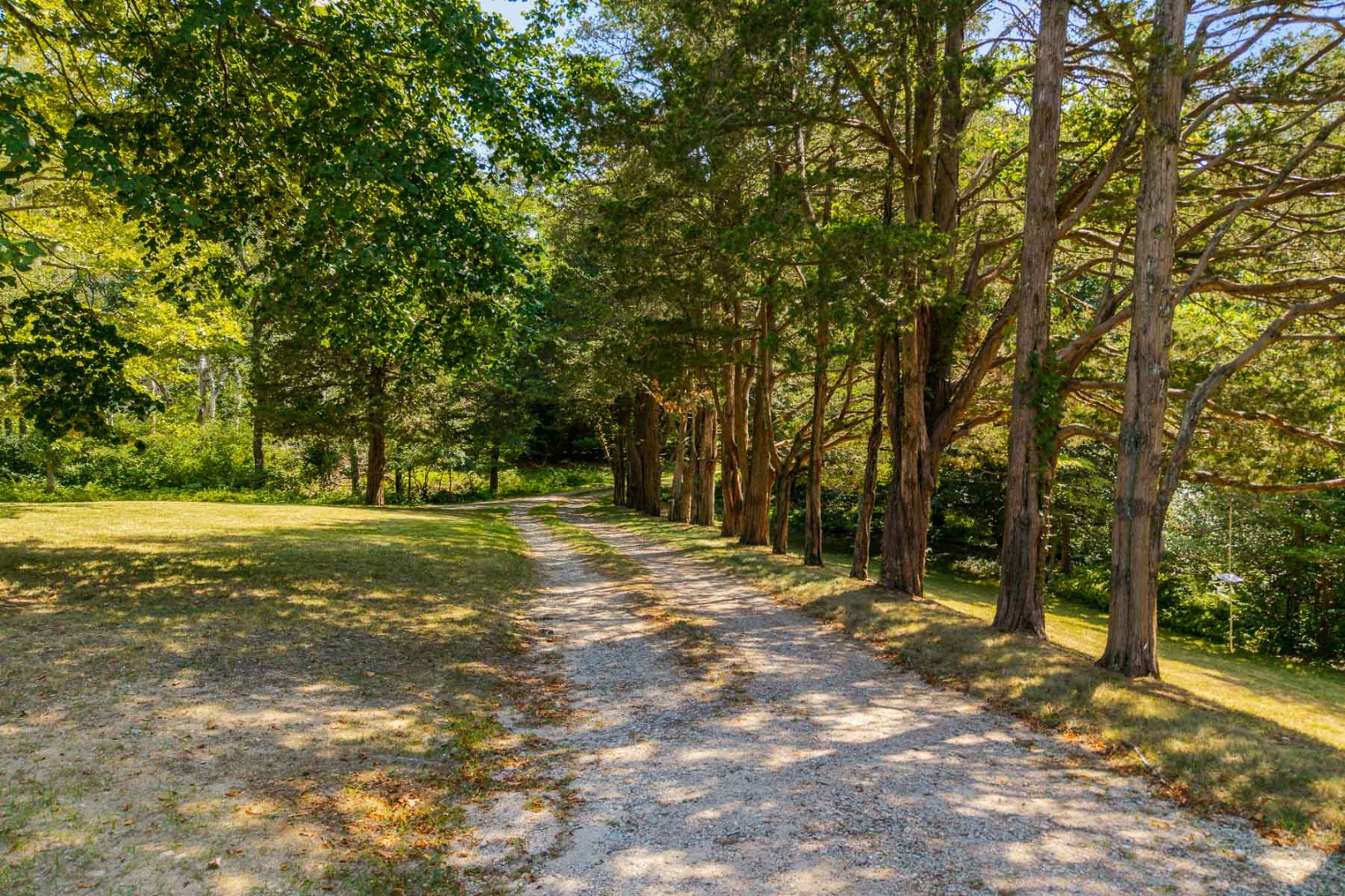 85 North Reservoir Road Vineyard Haven, MA 02568 - Photo 37 of 42 a view of a trees with a yard