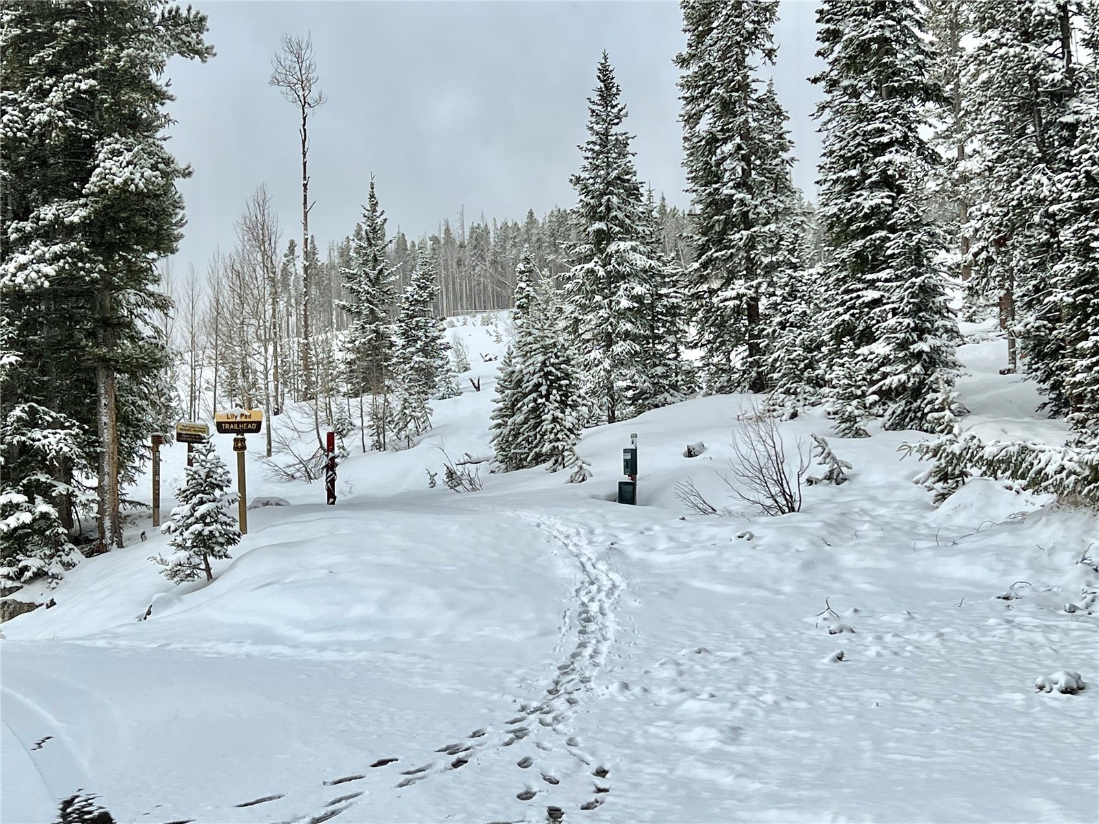 10000 Ryan Gulch Road, Unit 211 Silverthorne, CO 80498 - Photo 30 of 35 Lily Pad Lake Trailhead just around the corner