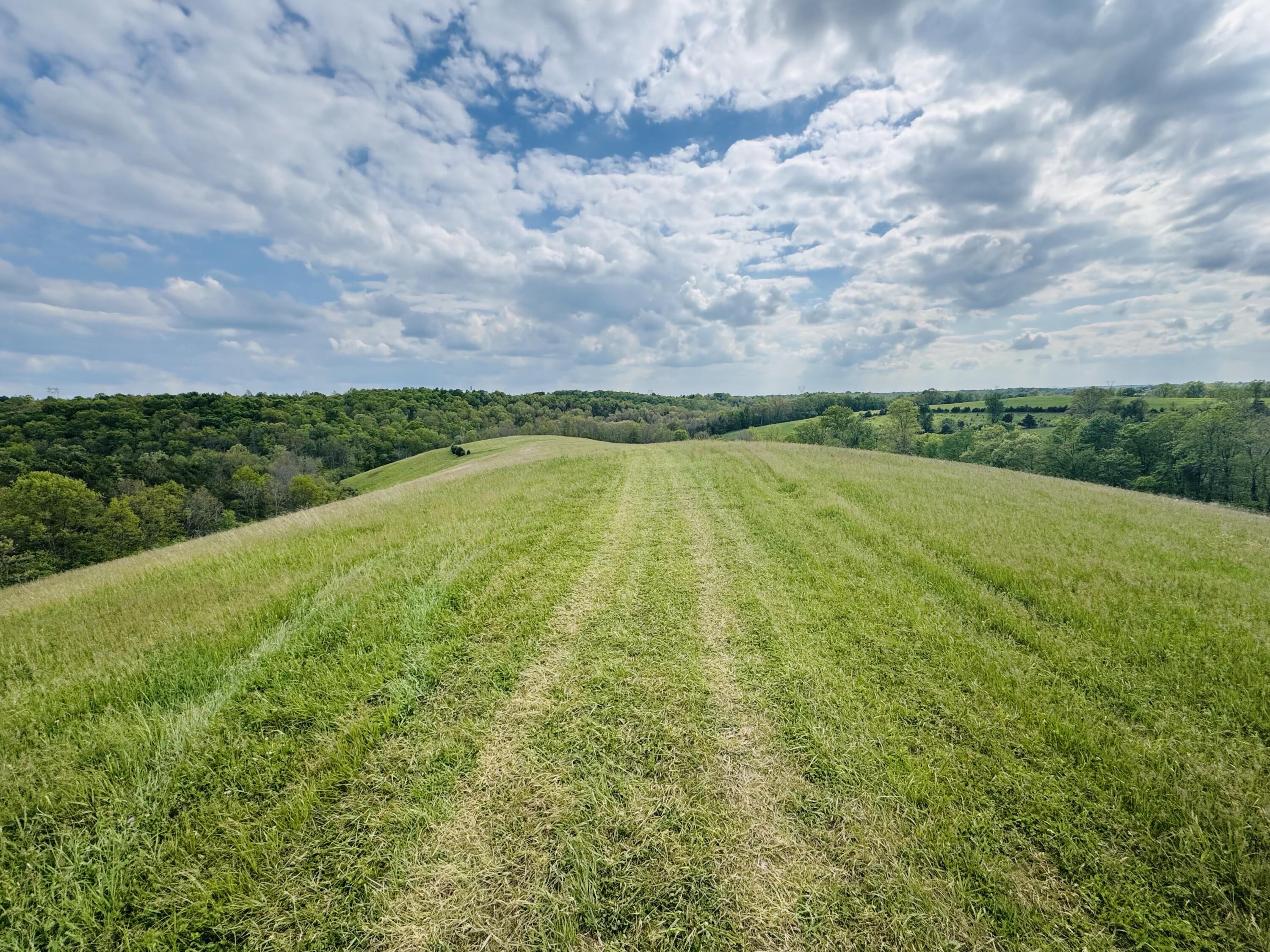 45-acres Chipman Ridge Road, Unit 43 ACRES / Williamstown, KY 41097 - Photo 5 of 19 IMG_6025