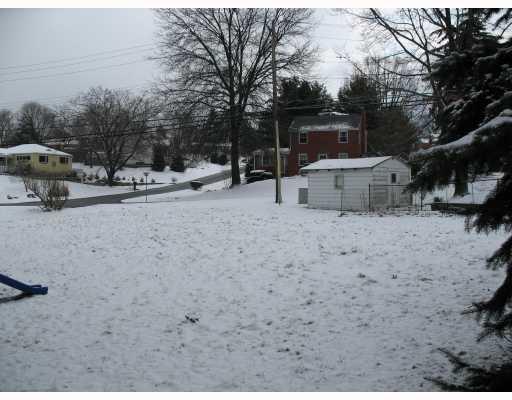 8254 Peebles Road Pittsburgh, PA 15237 - Photo 9 of 12 Land/Lot. Backyard