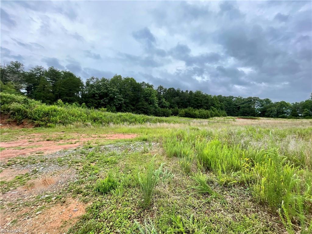 6.8-acres Meadowbrook Drive King, NC 27021 - Photo 14 of 16