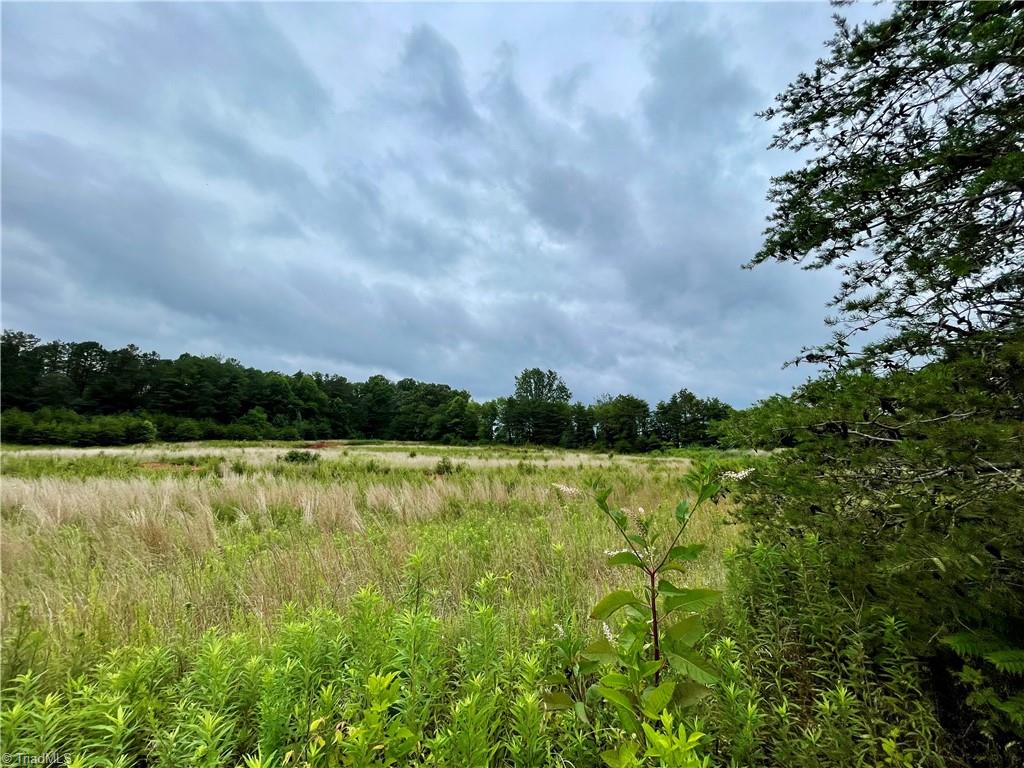 6.8-acres Meadowbrook Drive King, NC 27021 - Photo 15 of 16