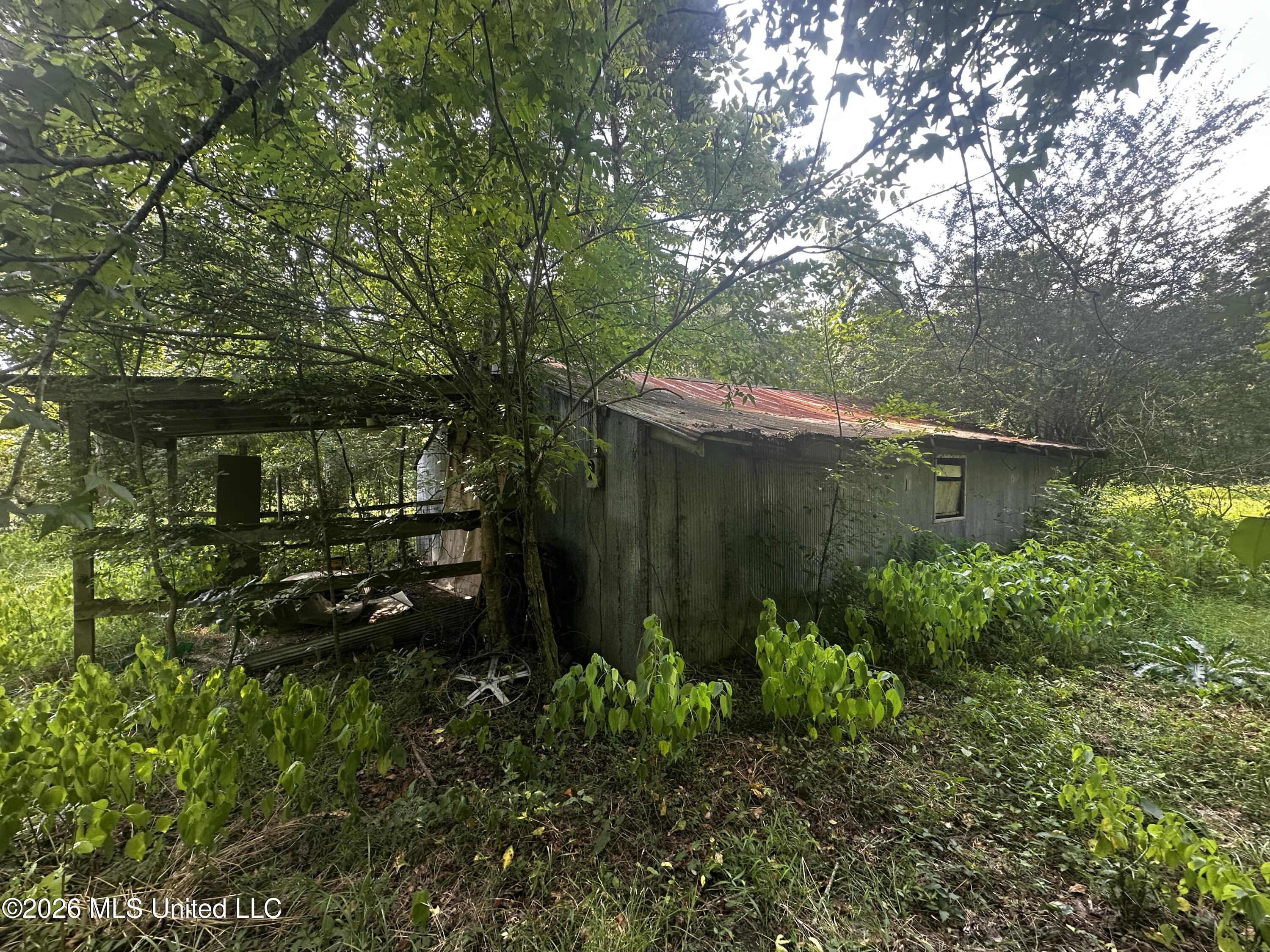 137 Shorter Road Braxton, MS 39044 - Photo 20 of 40 IMG_6736