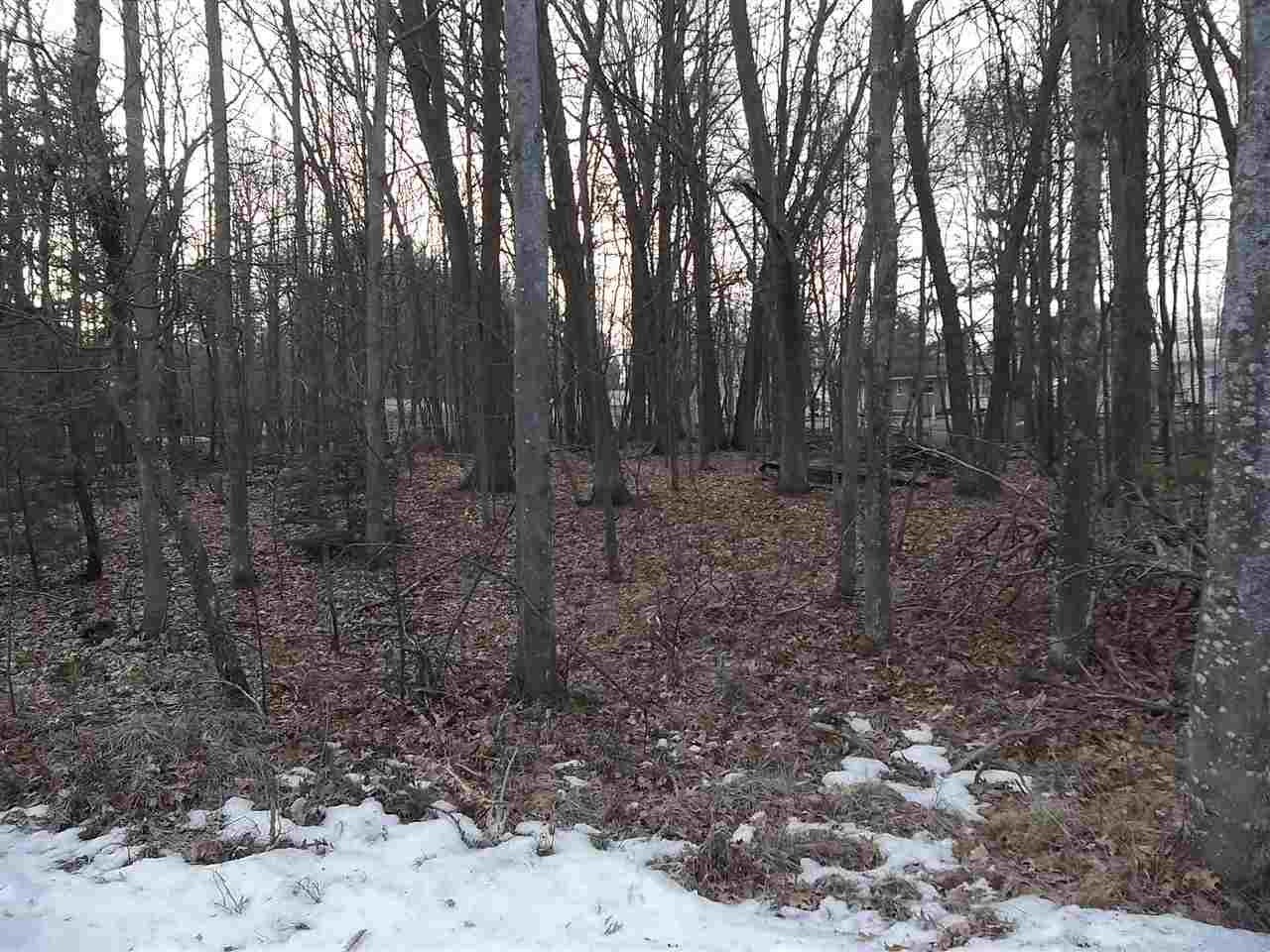 Drake Lane St. Helen, MI 48656 - Photo 1 of 1 Gallery Image 1