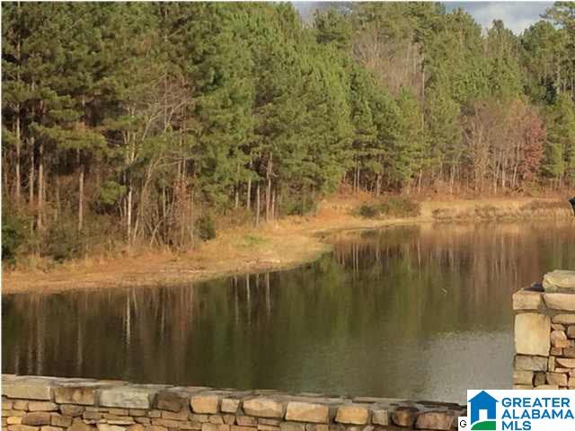48 Bells Lane, Unit 48 Springville, AL 35146 - Photo 4 of 6