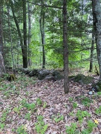 408-77-4 New Athol Road Petersham, MA 01366 - Photo 1 of 11 Gallery Image 1