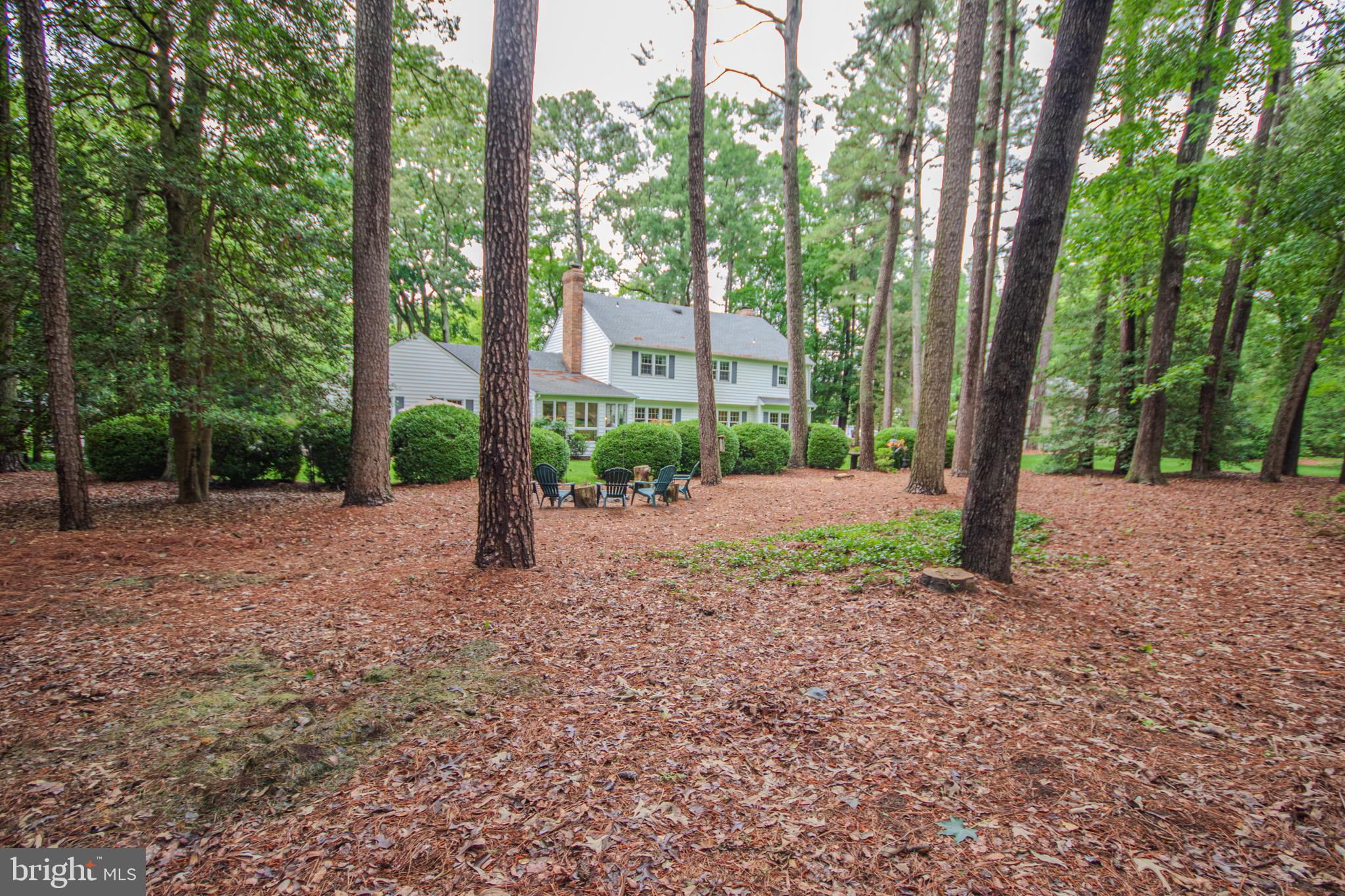 29745 Jackson Road Salisbury, MD 21804 - Photo 62 of 77