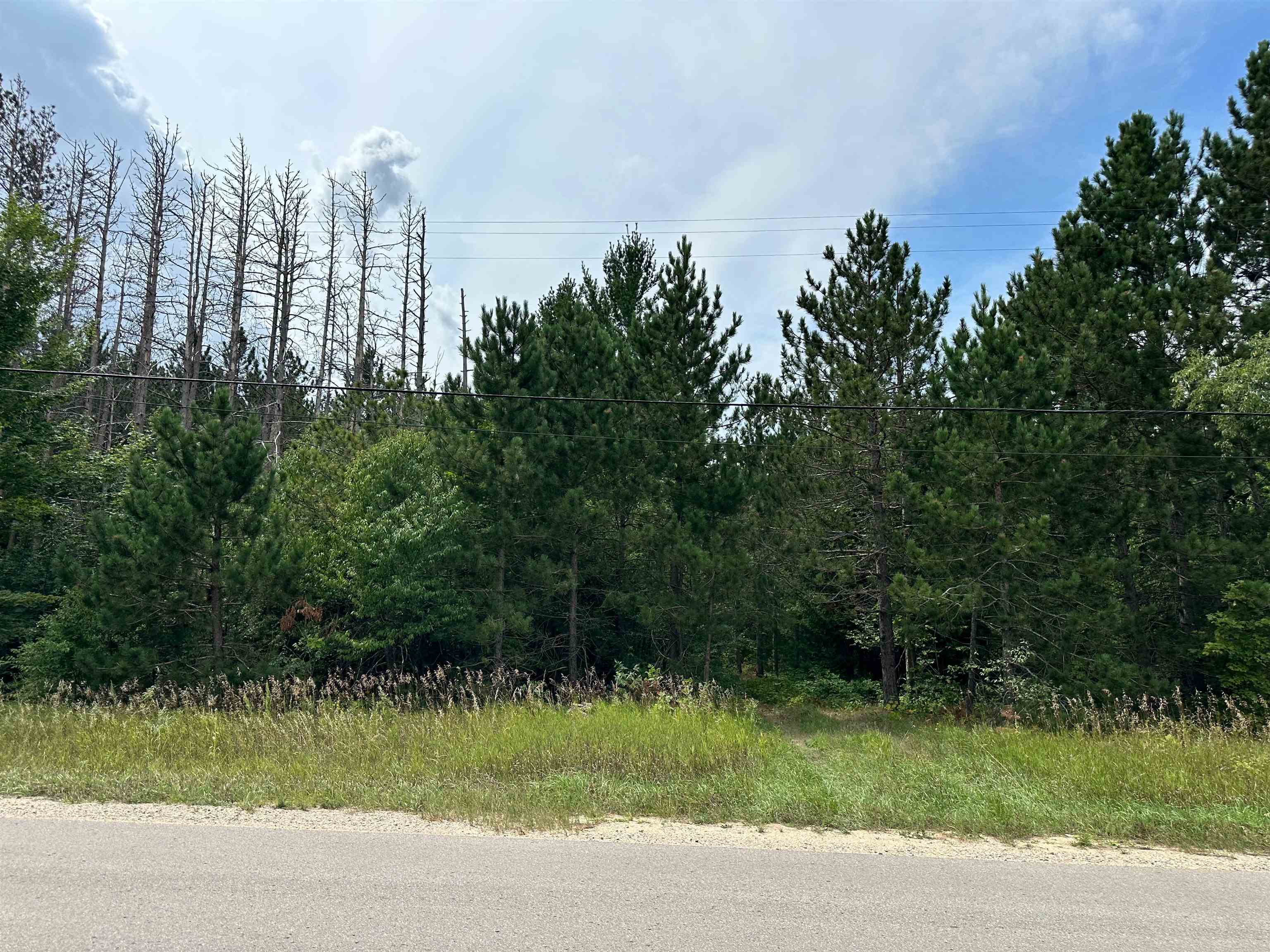 7658 Cedar River Road Mancelona, MI 49659 - Photo 22 of 24 1949521-396b8d8d-4718-42ed-84aa-b2a681a49d61.JPG
