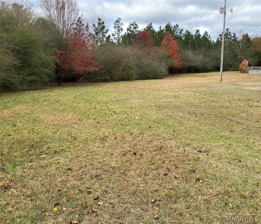 30717 Friendship Road Opp, AL 36467 - Photo 68 of 70 Gallery Image 68